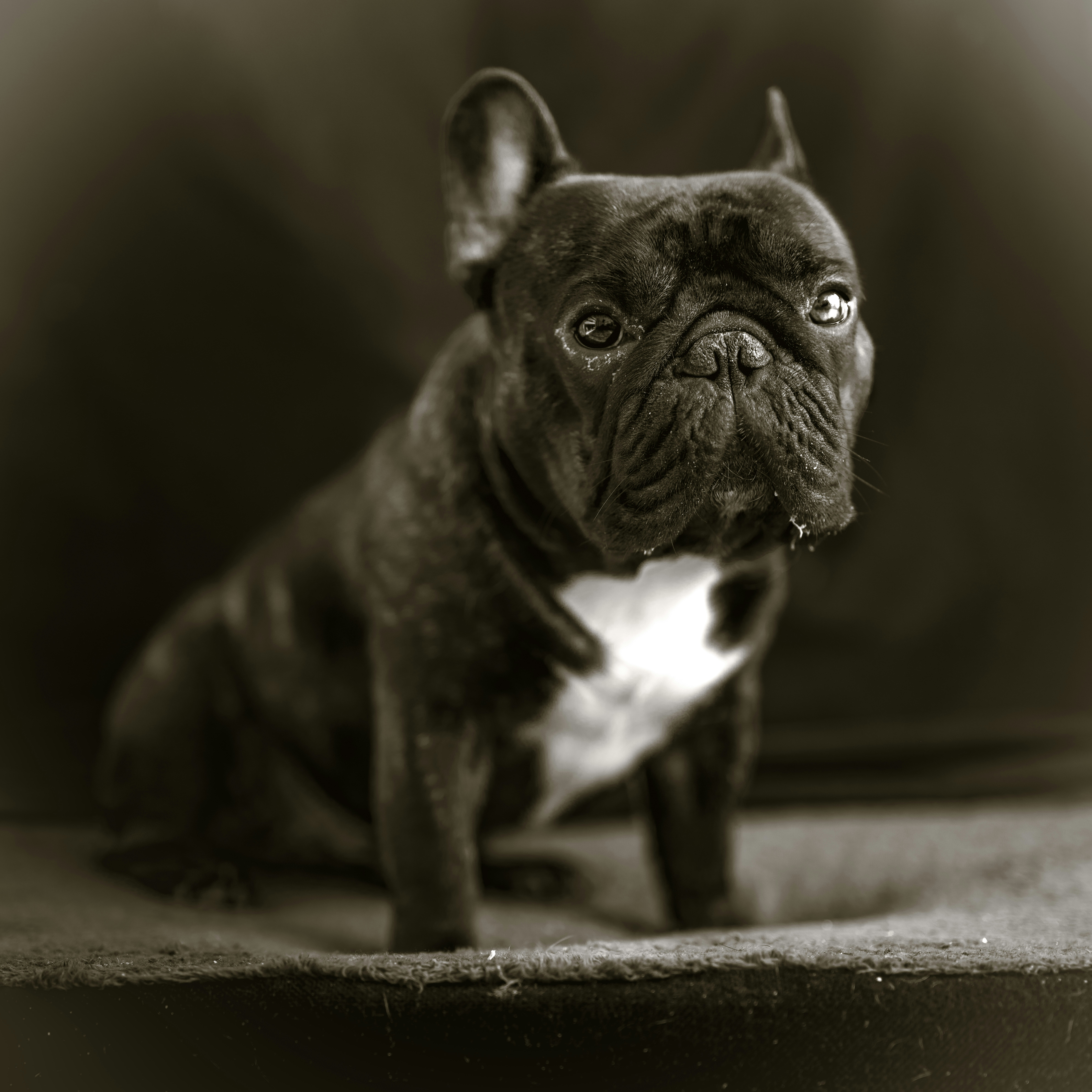 Photo by mikhail_mamaev