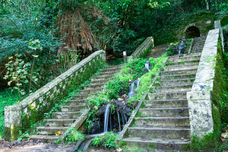 The image depicts a stone staircase with two sets of stairs, each adorned with lush green plants and cascading waterfalls. The first set of stairs is located on the left side of the frame, while the second set is situated on the right side. The staircase is surrounded by an abundance of greenery, including trees and bushes that add to the natural ambiance of the scene.