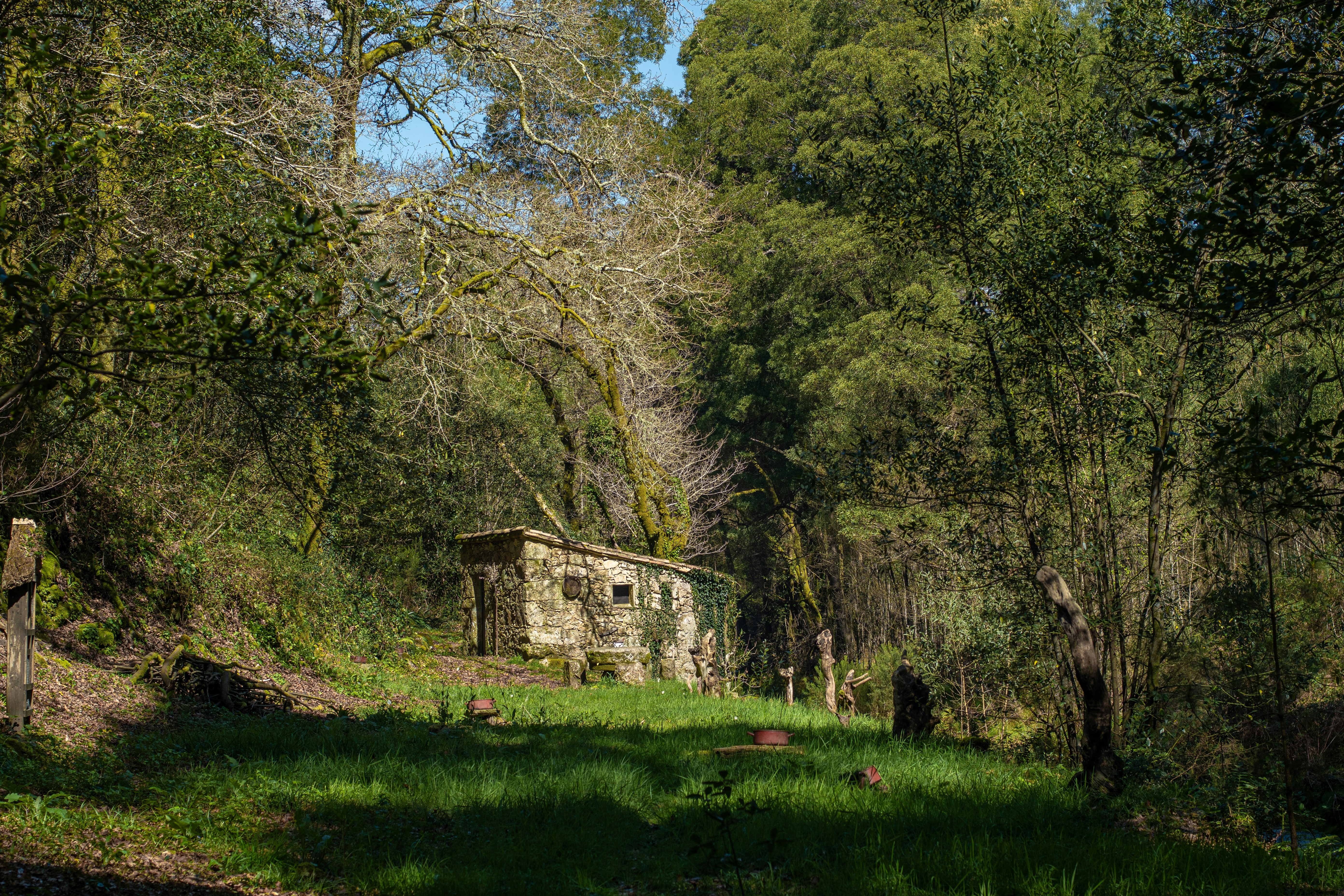 Photo by nataliaraylenegusakova