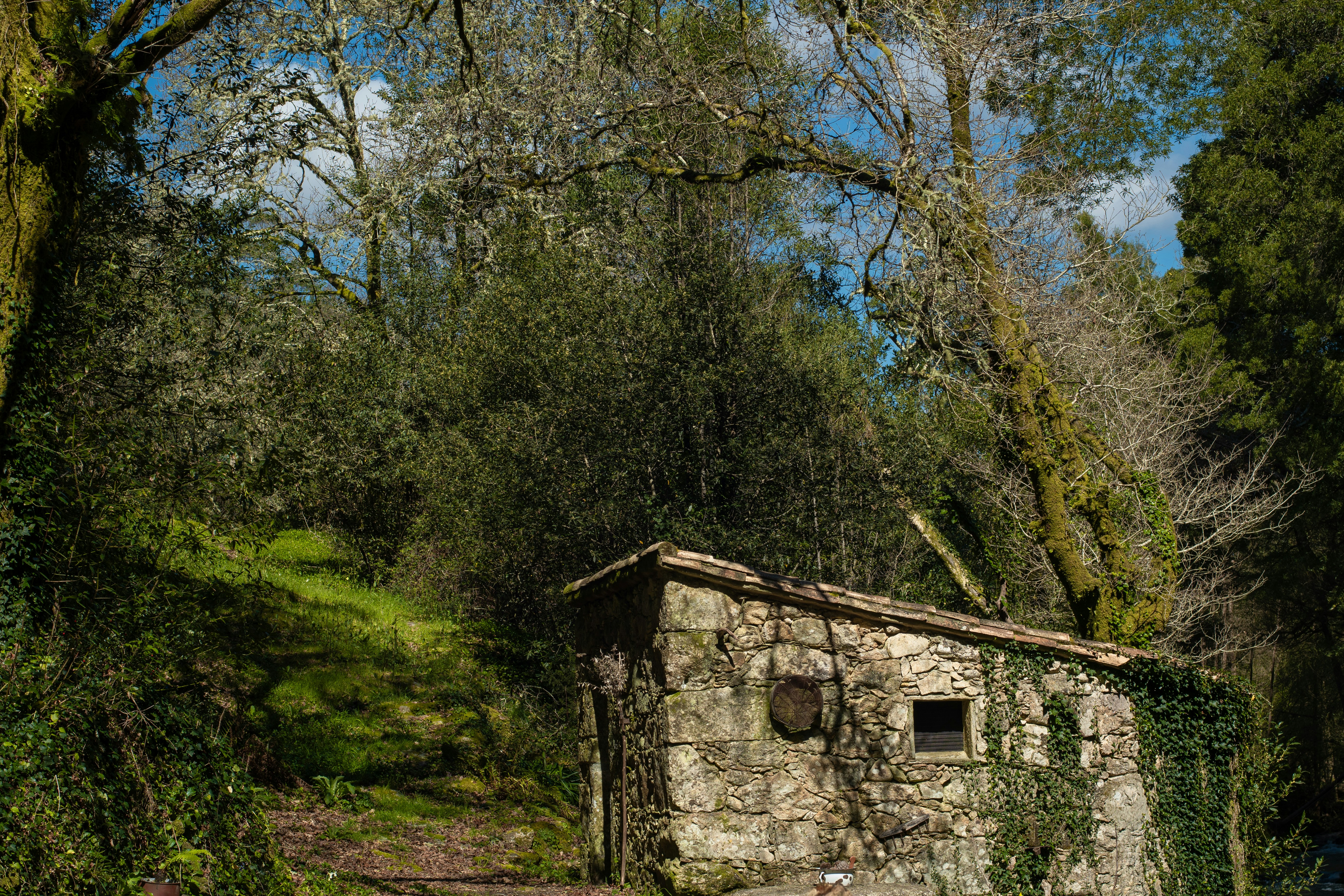 Photo by nataliaraylenegusakova