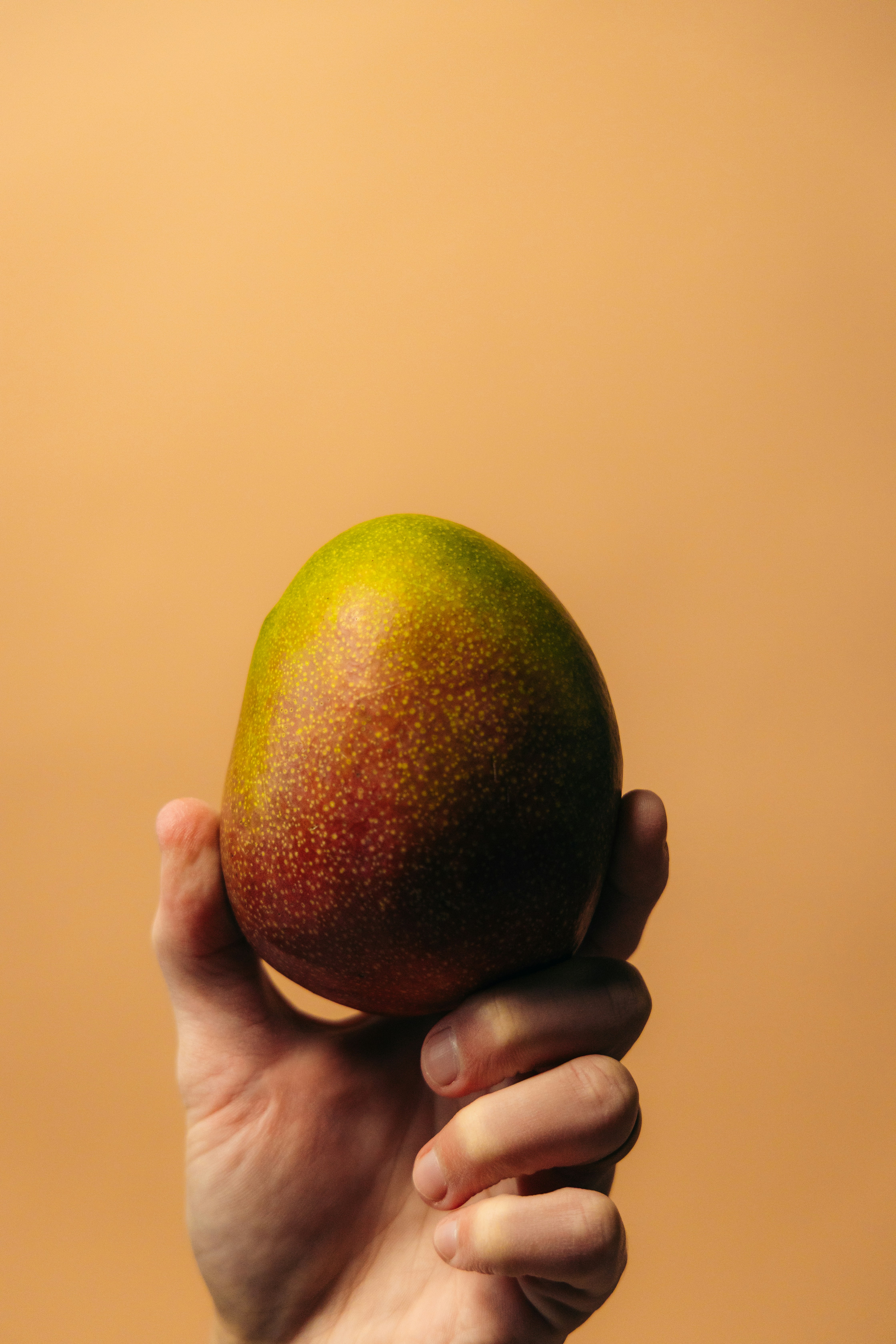 Mango'S Menu With Prices