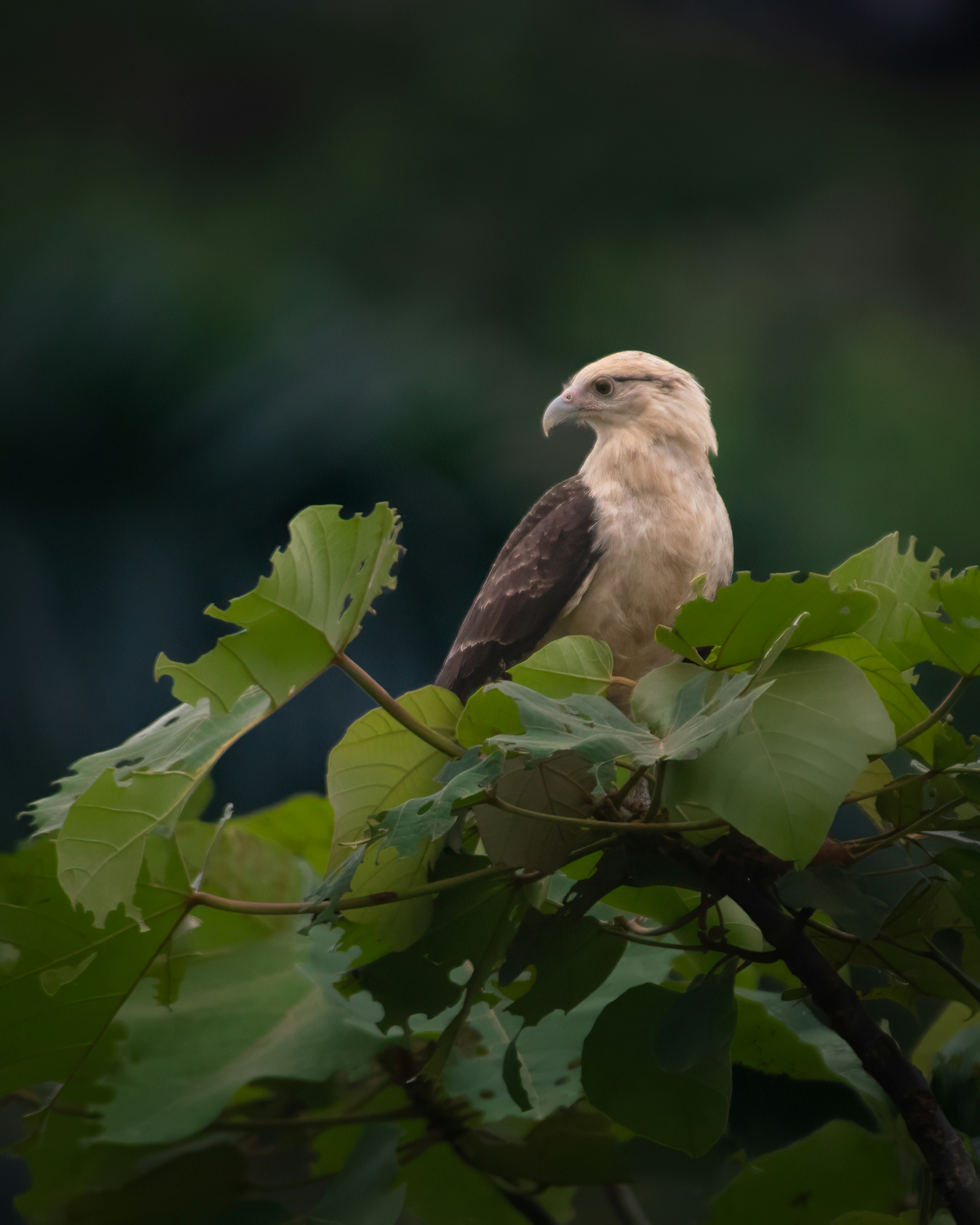 Photo by rob_bird_photography