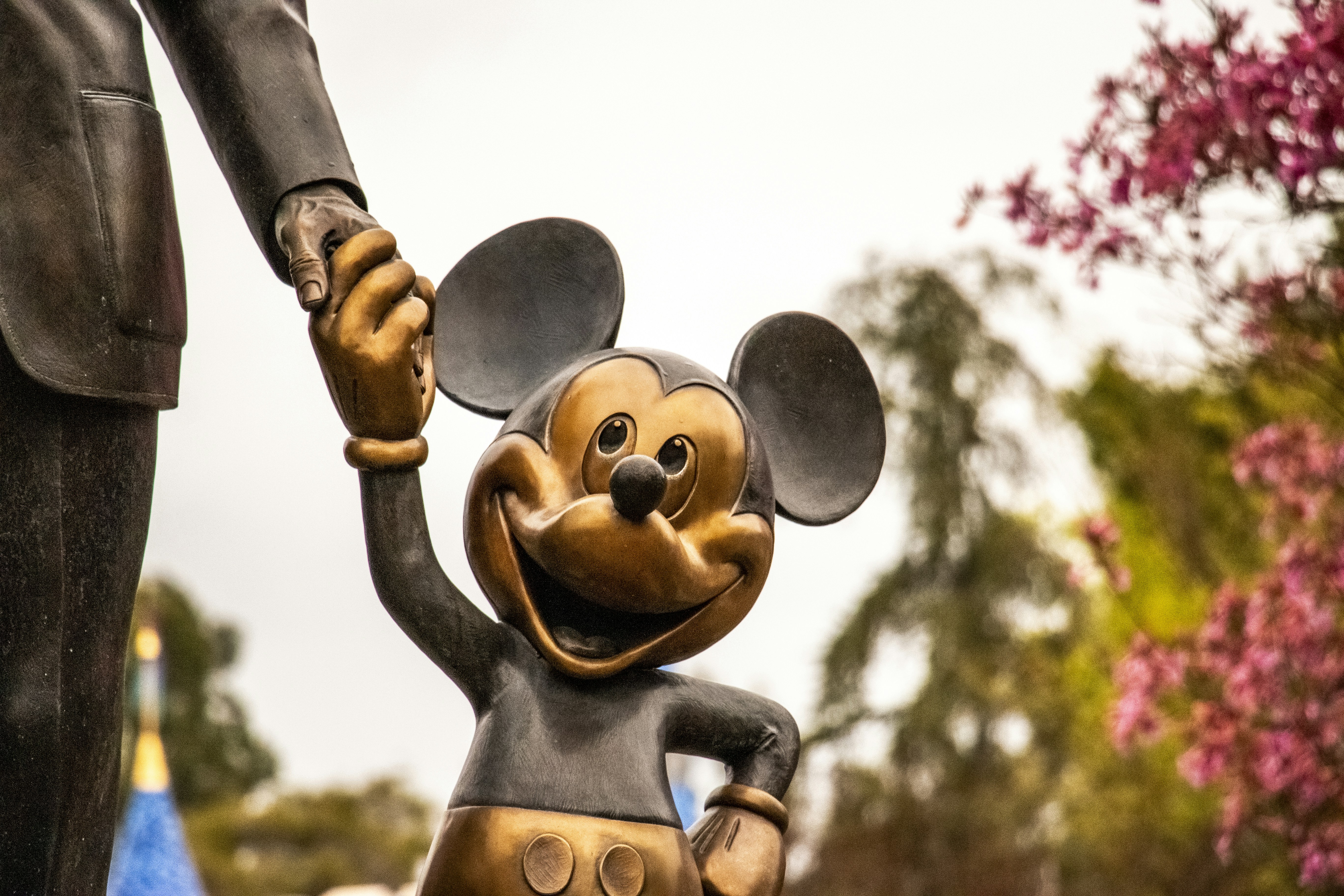 Photo by liragraphicsco