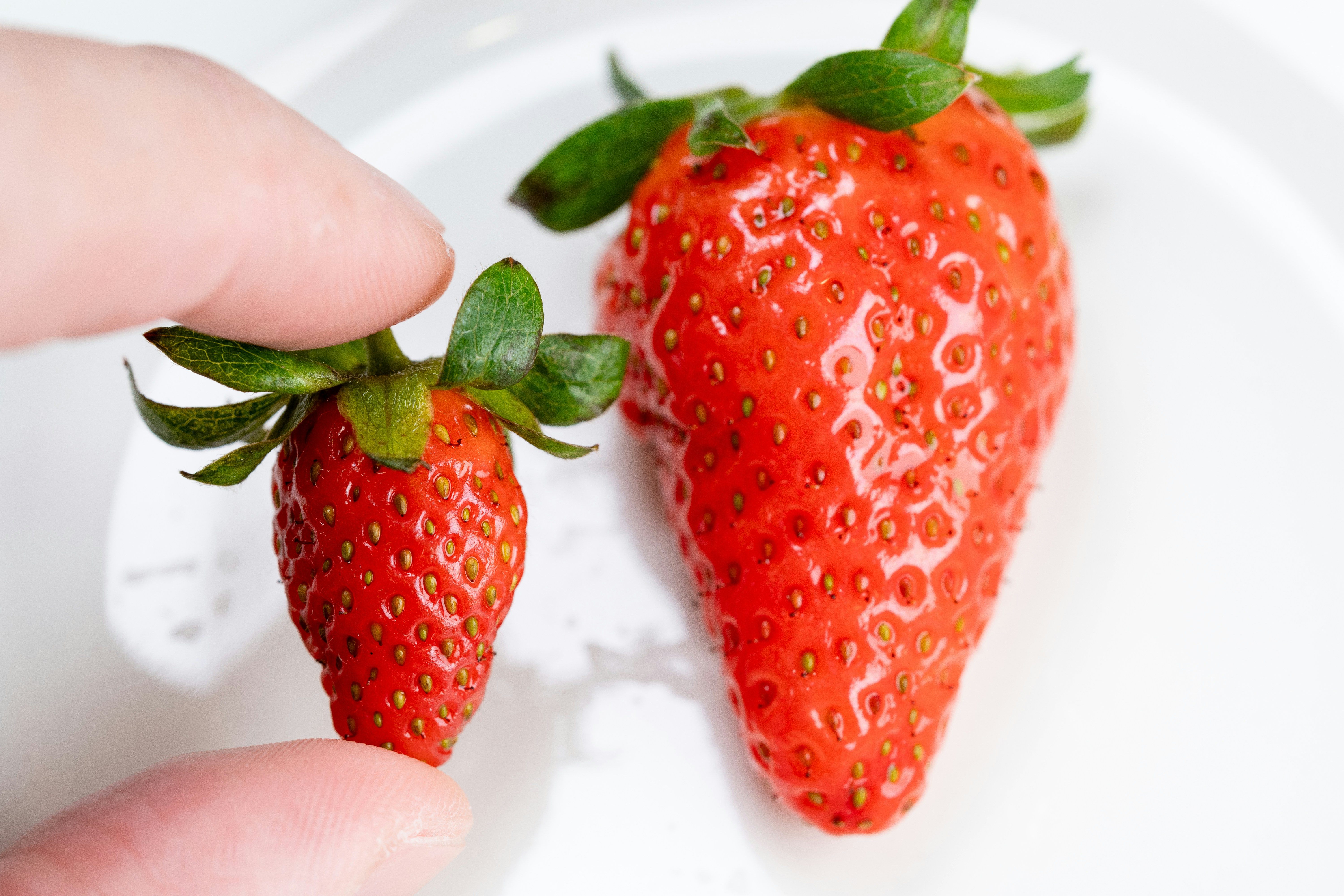 Photo by winstonchen