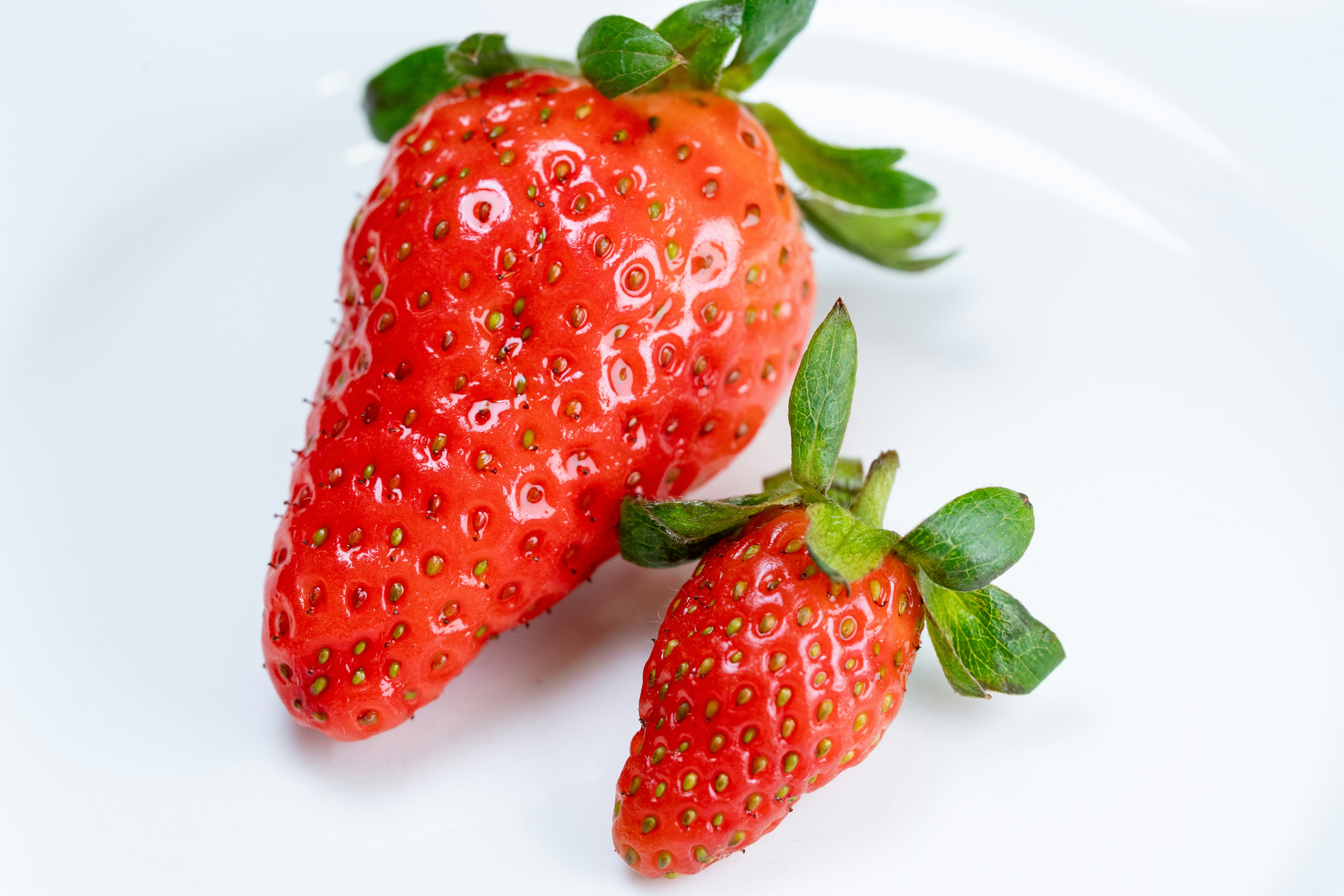 Photo by winstonchen