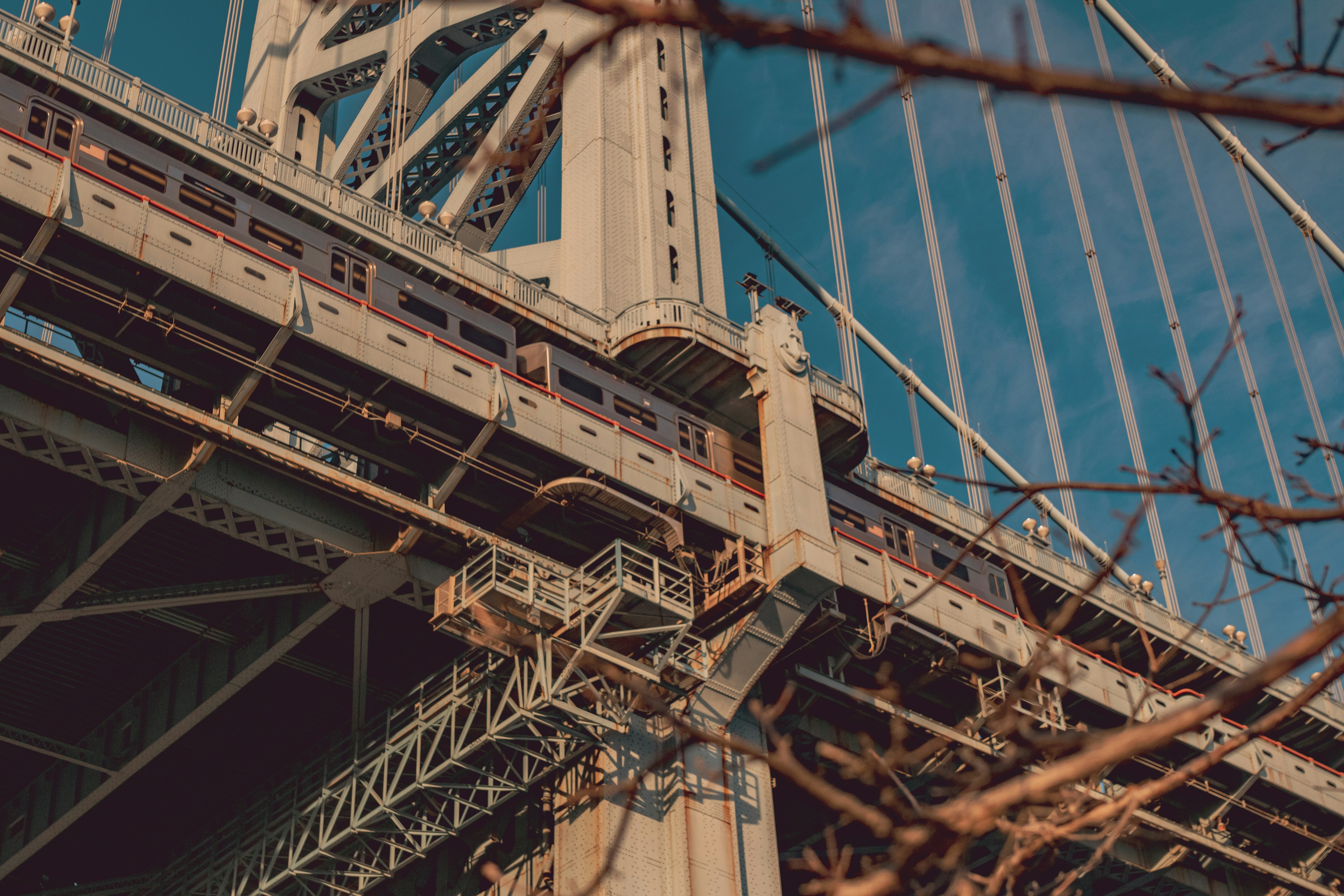 Photo by thatcreativeguy