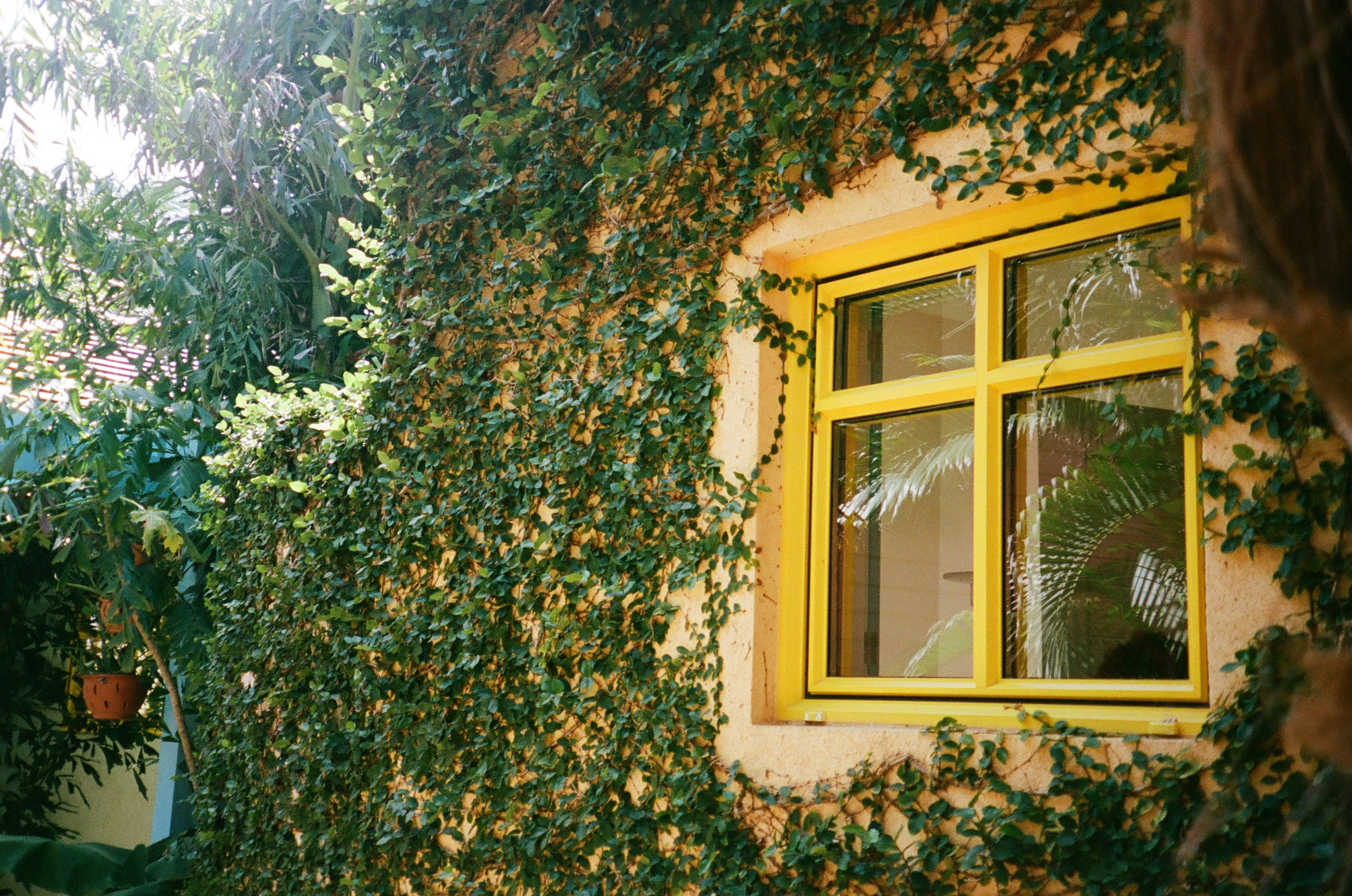 Photo by ninadavisfilm