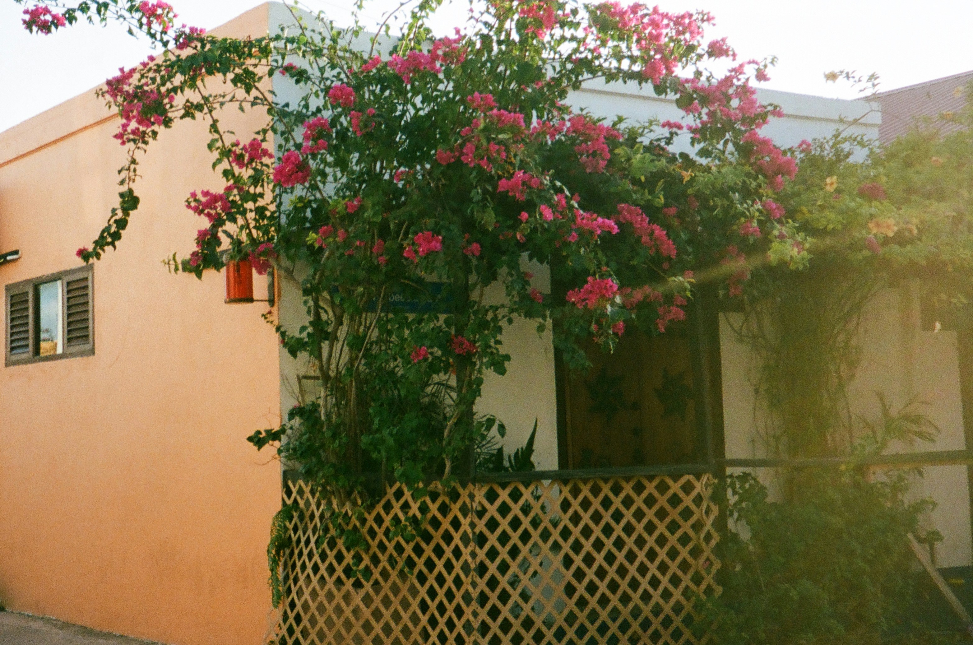 Photo by ninadavisfilm