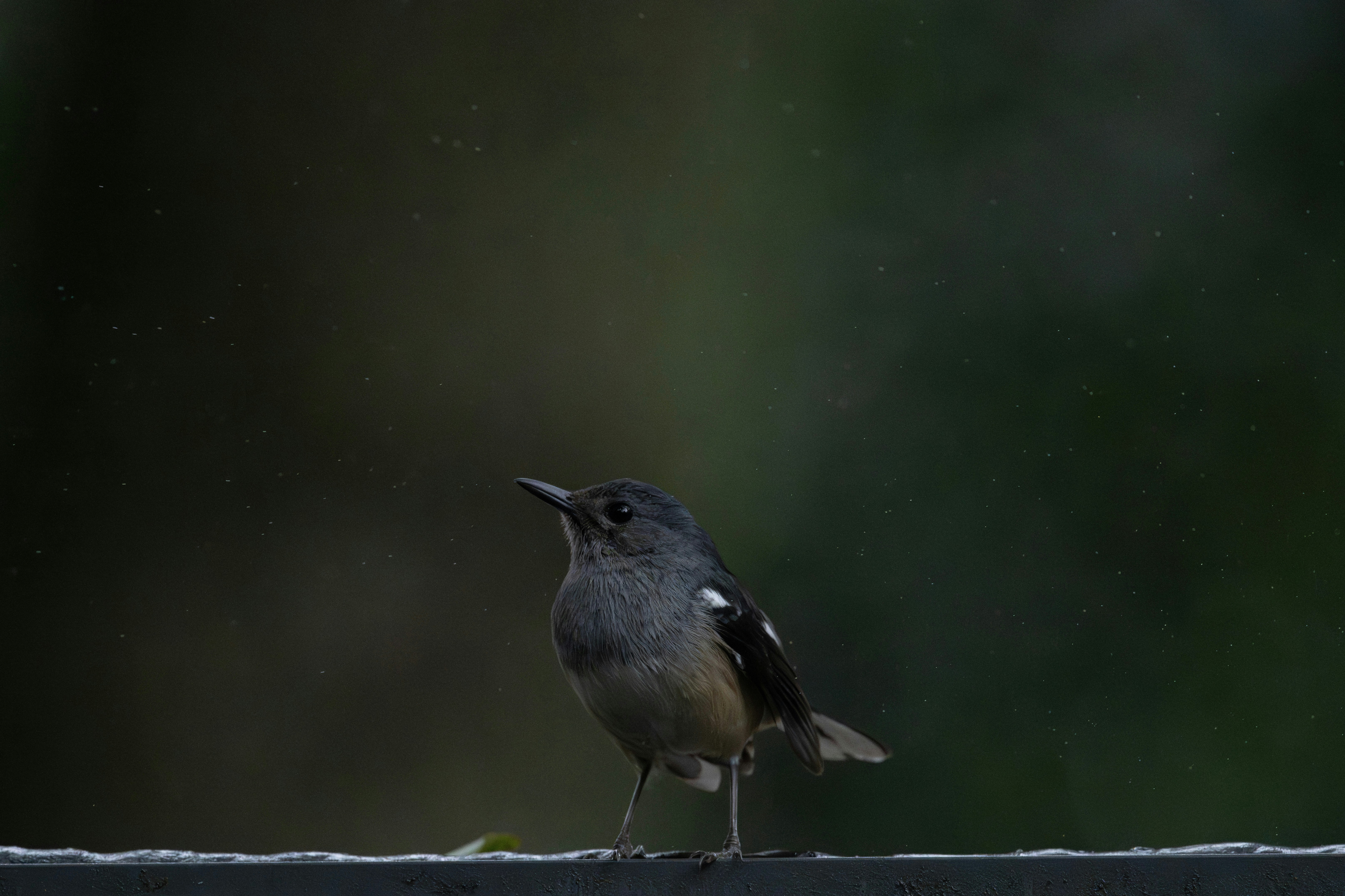 Photo by briadorothy