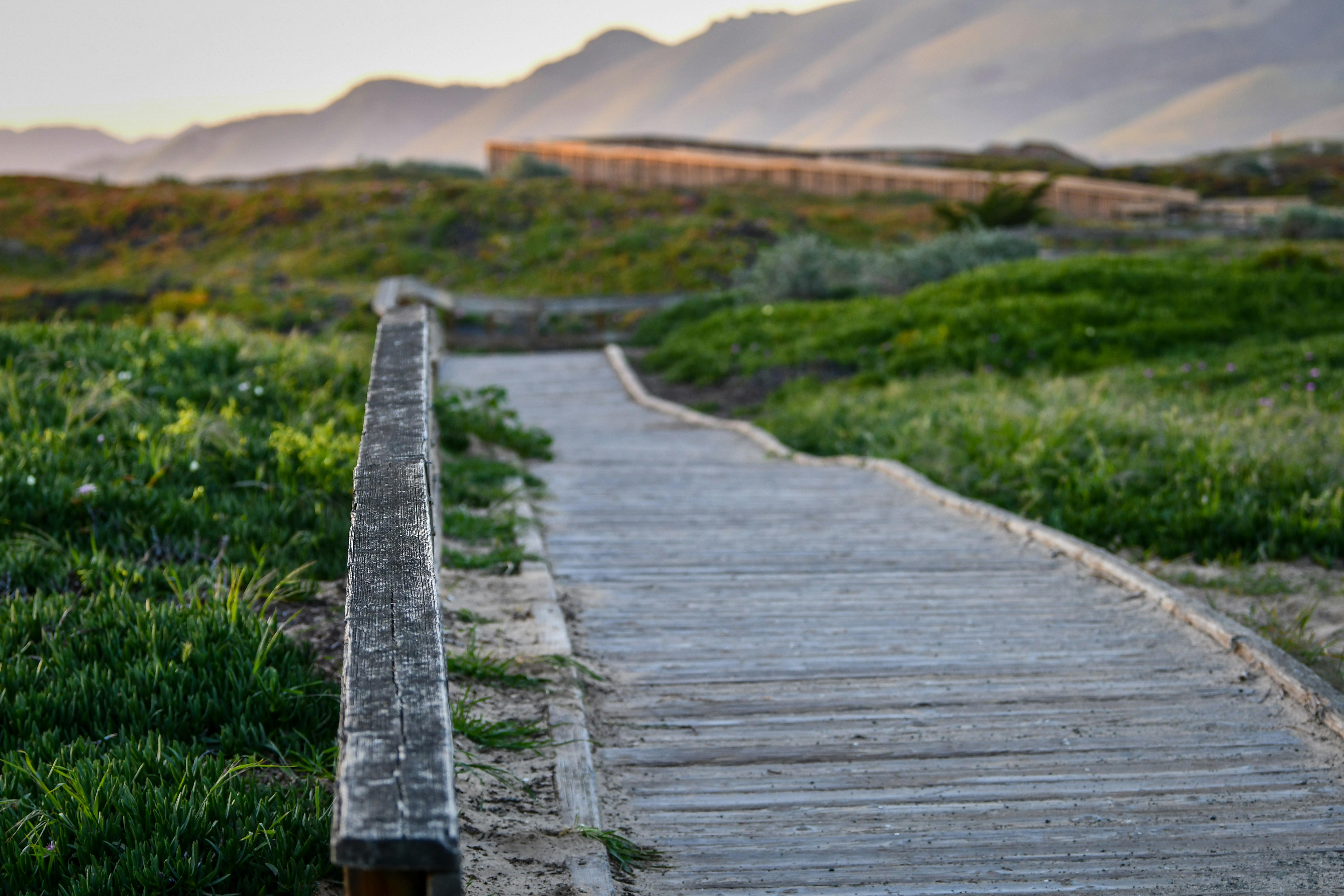 A wooden walkway leads toward the mountains.