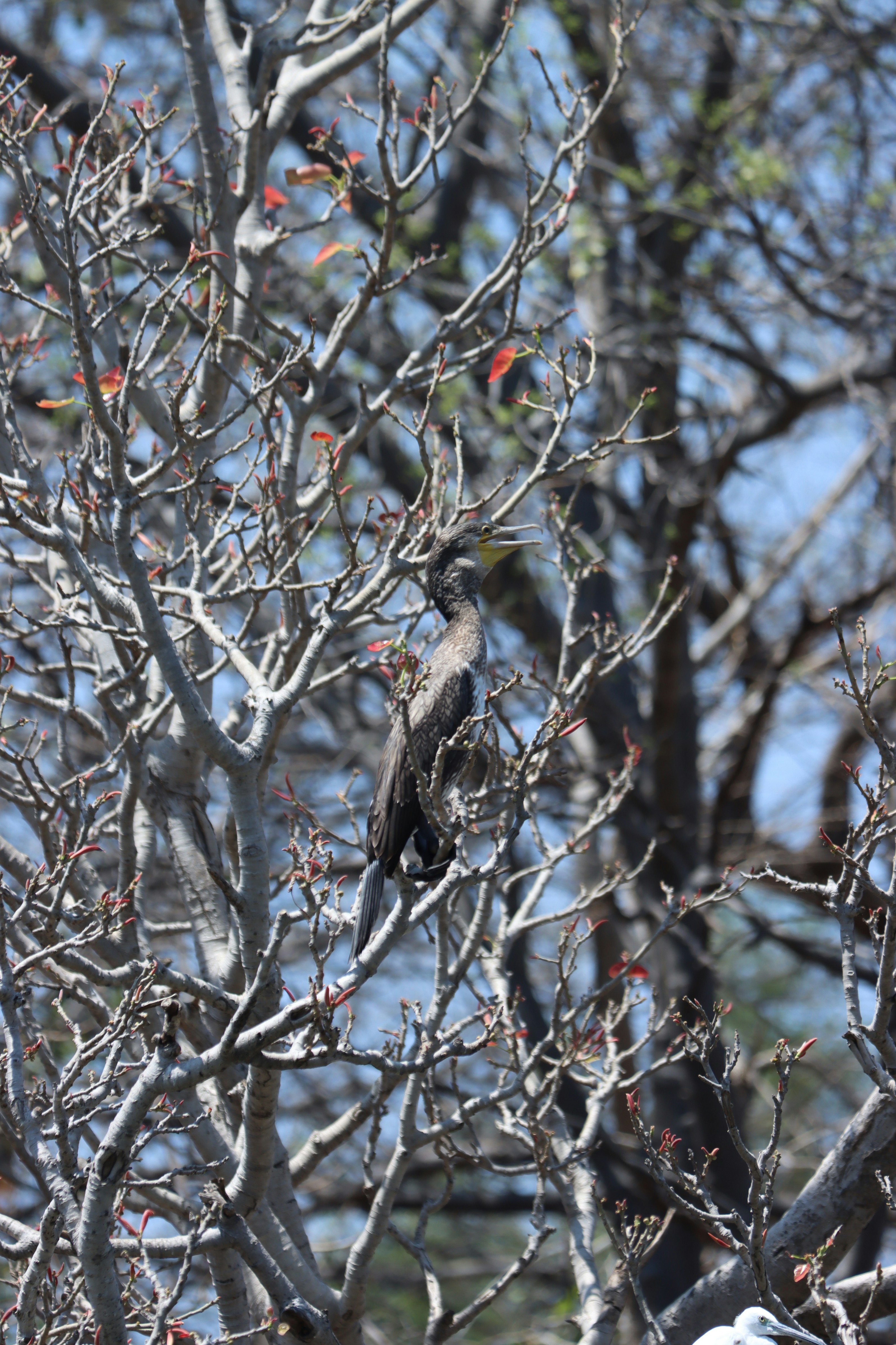 Photo by suresh___yadhav