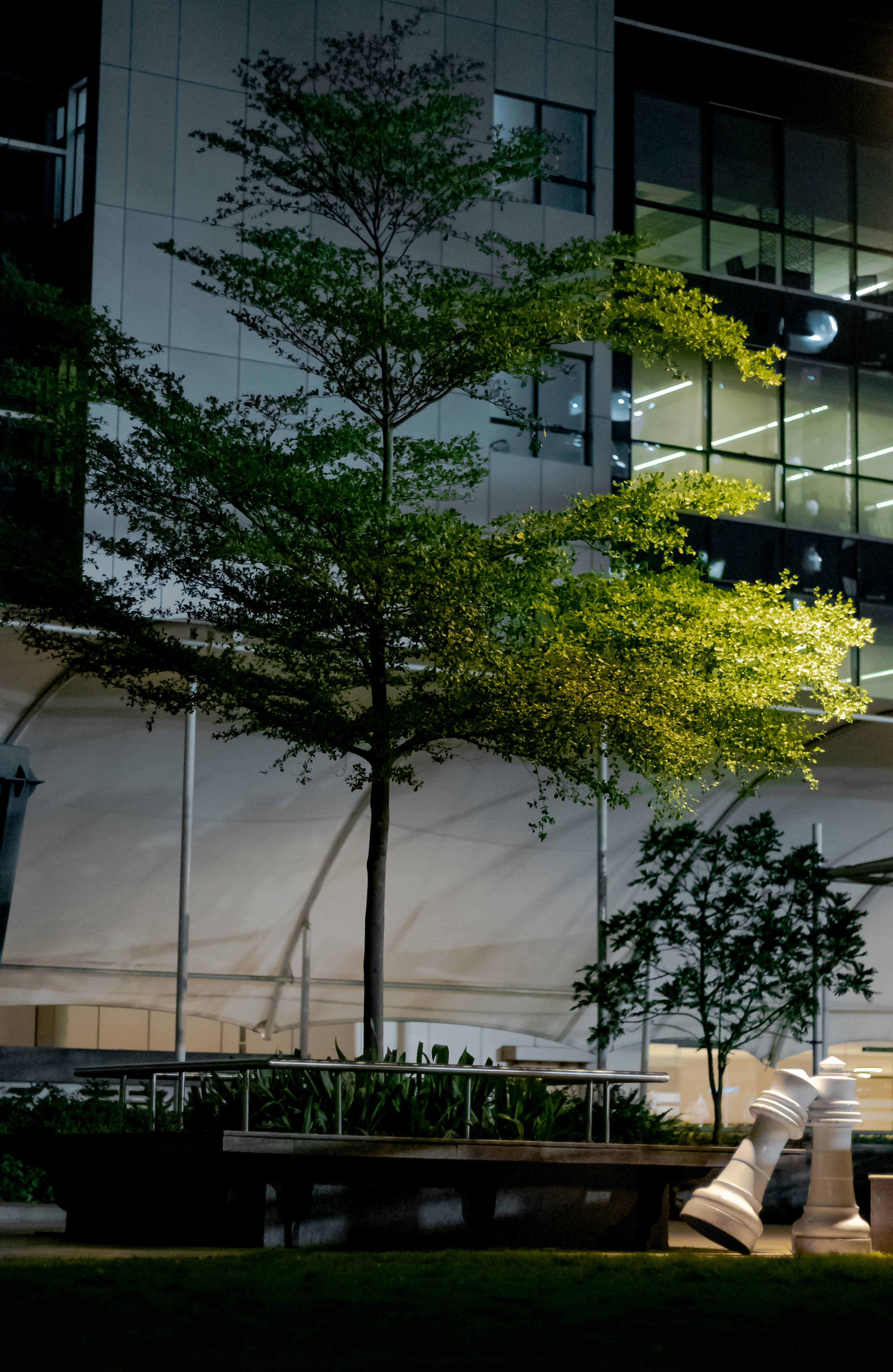 Photo by arvind_menon