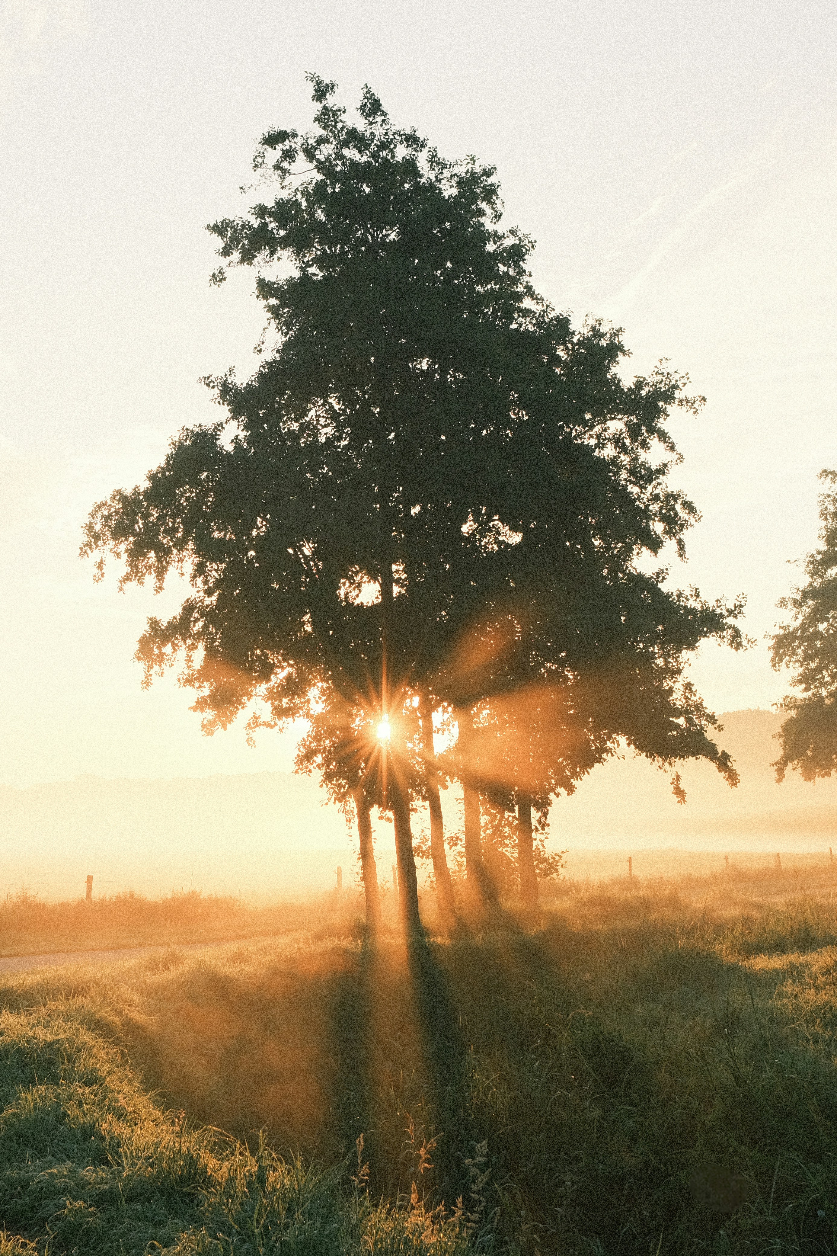 Photo by visualsbying