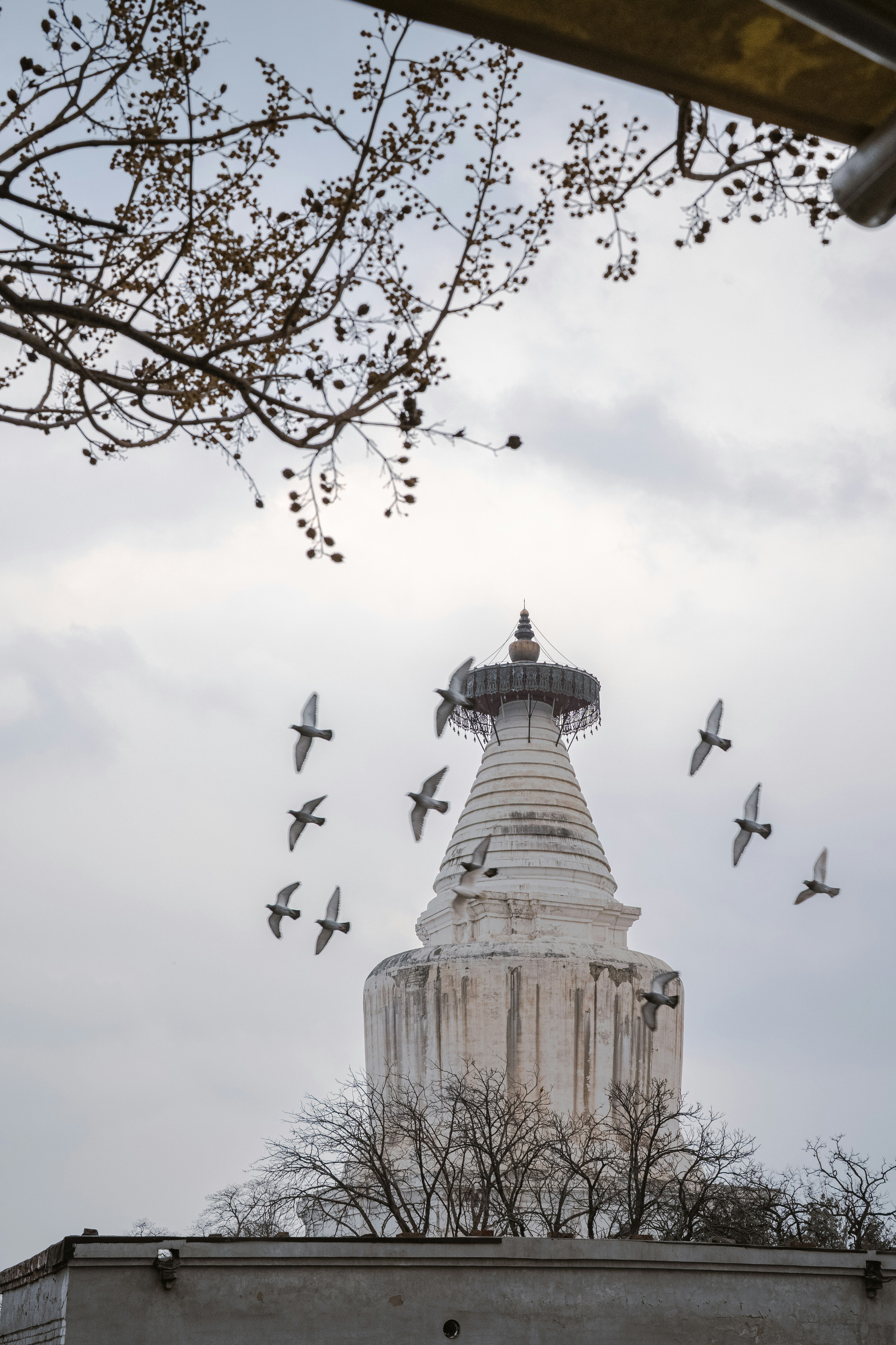 Birds circle a white pagoda in the cloudy sky.