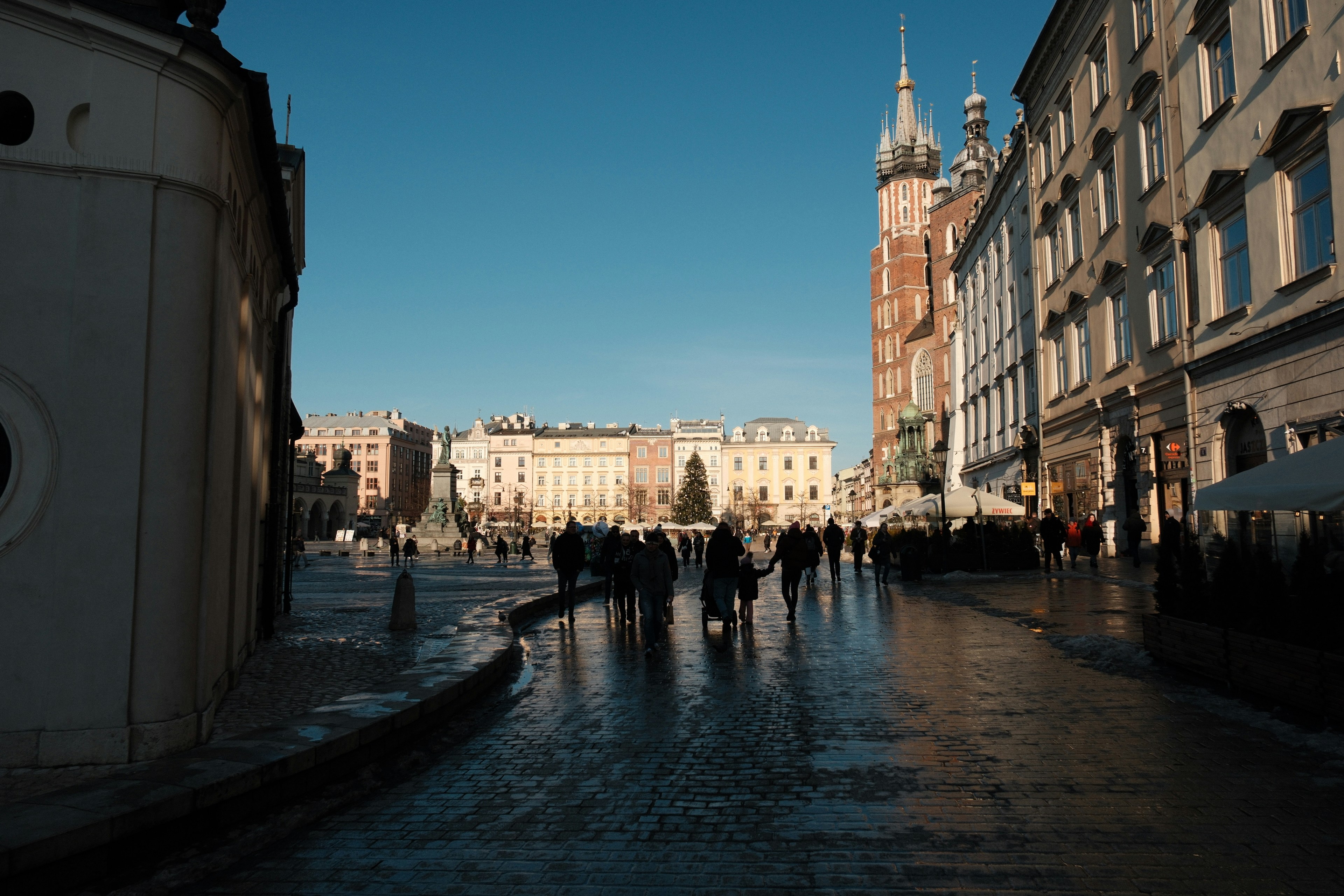 photo-1742196641195-dc39dd0cc346?ixid=M3wxMjA3fDB8MXxzZWFyY2h8N3x8d2ludGVyJTIwc291bmR8ZW58MHx8fHwxNzU0NTE2OTI5fDA\u0026ixlib=rb-4.1.0