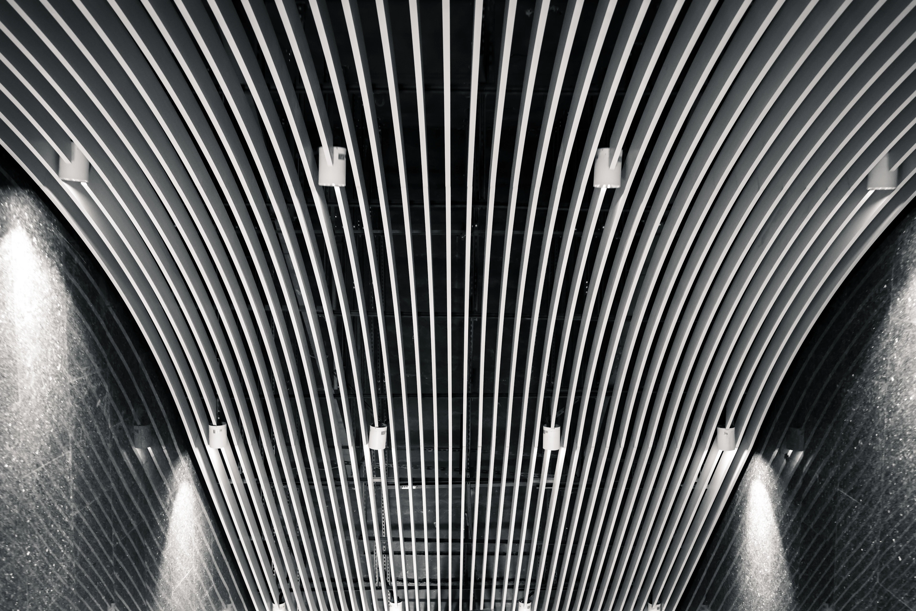 A curved ceiling with linear baffle patterns and spotlights