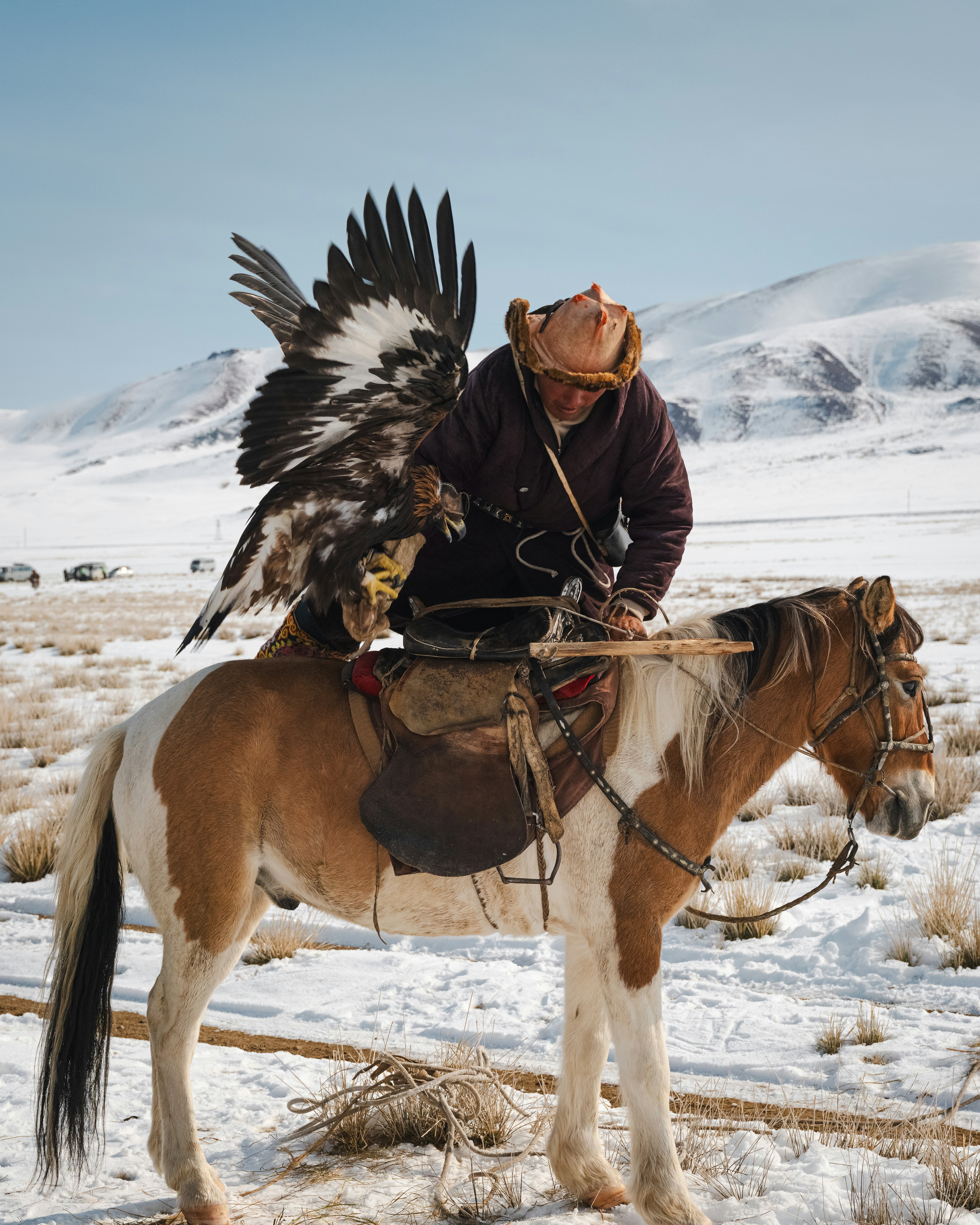 Mongolian eagle hunter with his bird on horseback.