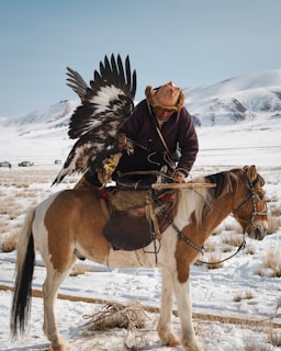 Mongolian eagle hunter with his bird on horseback.