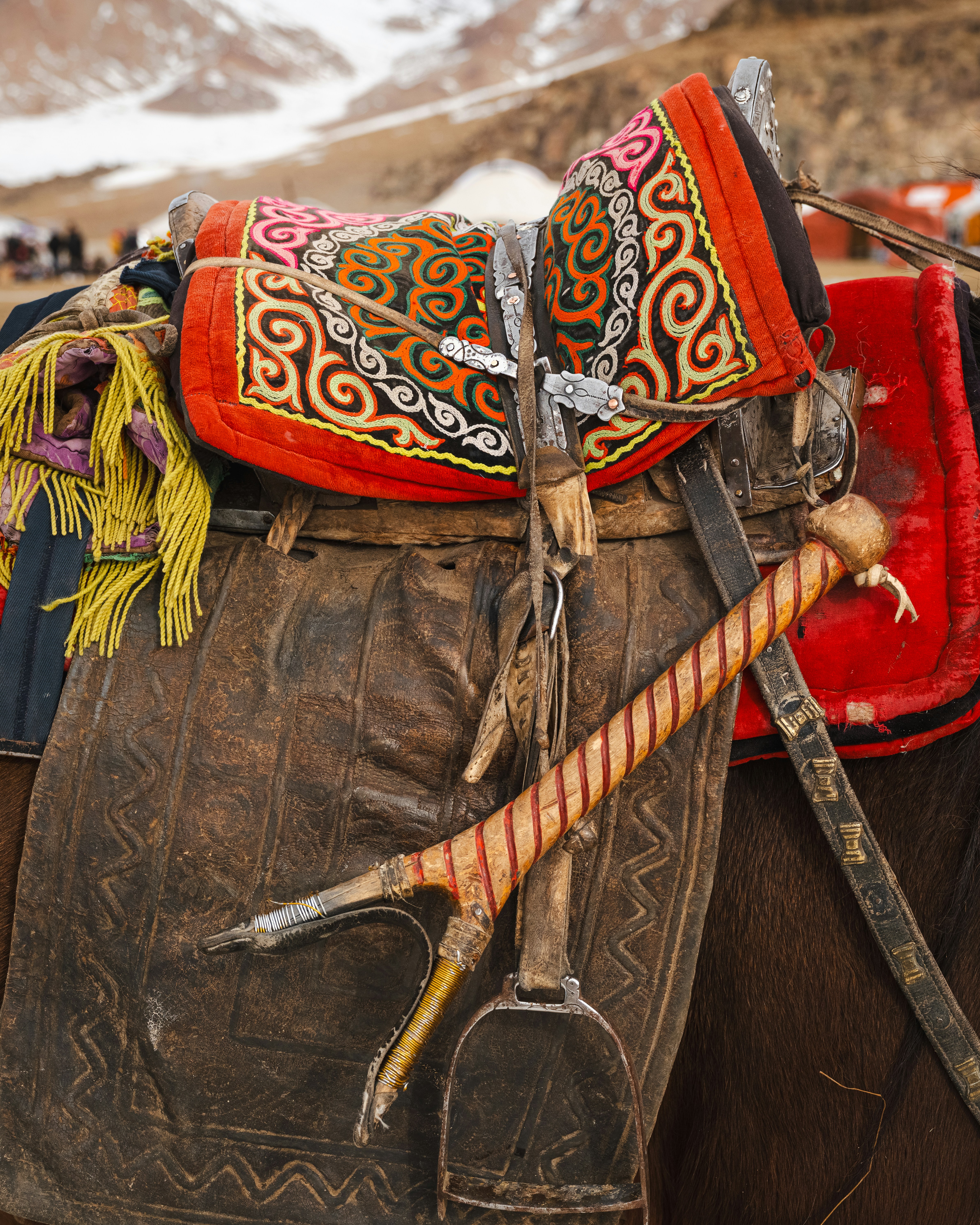 A decorated saddle and gear on a horse.
