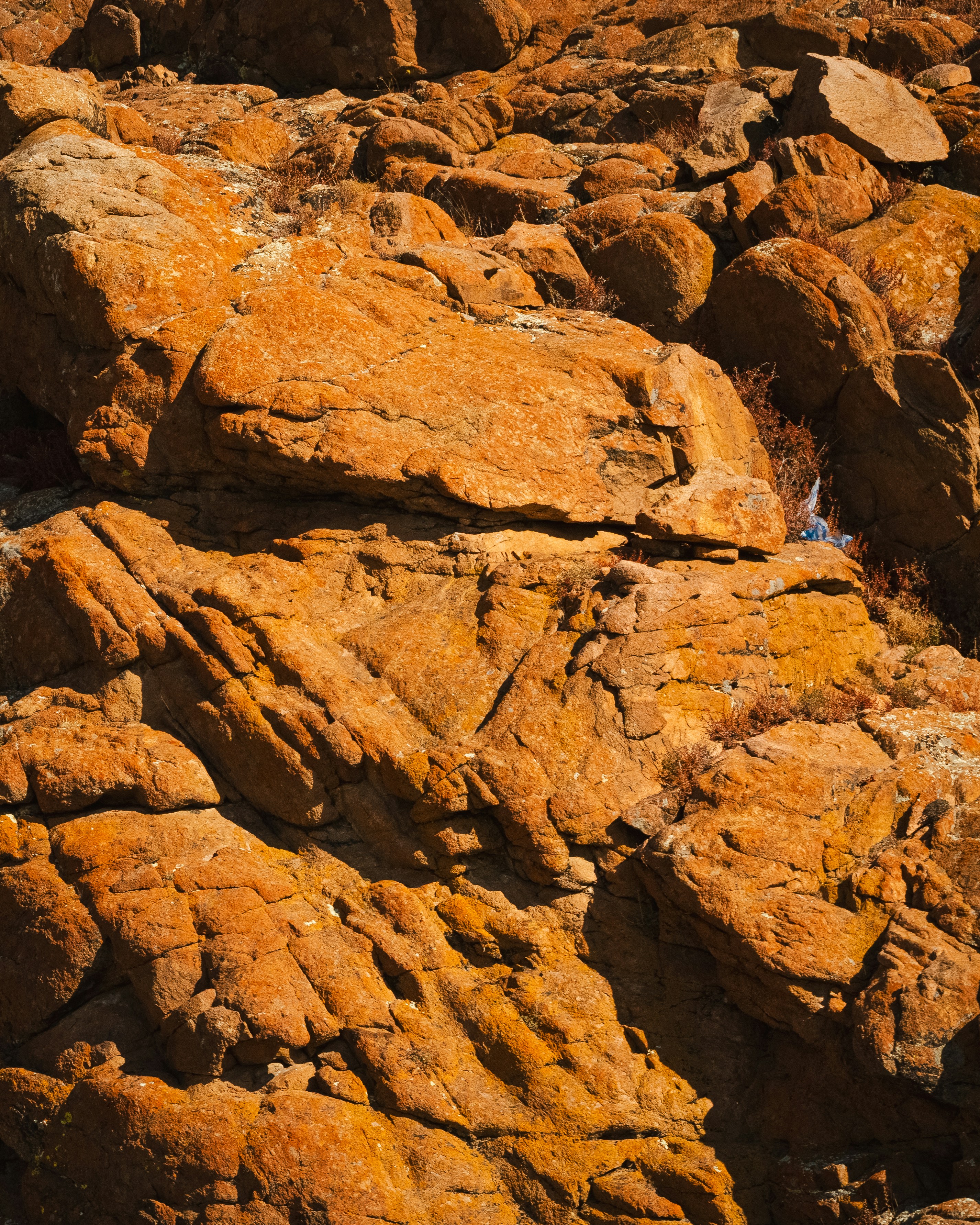 Photo by fabhimantra