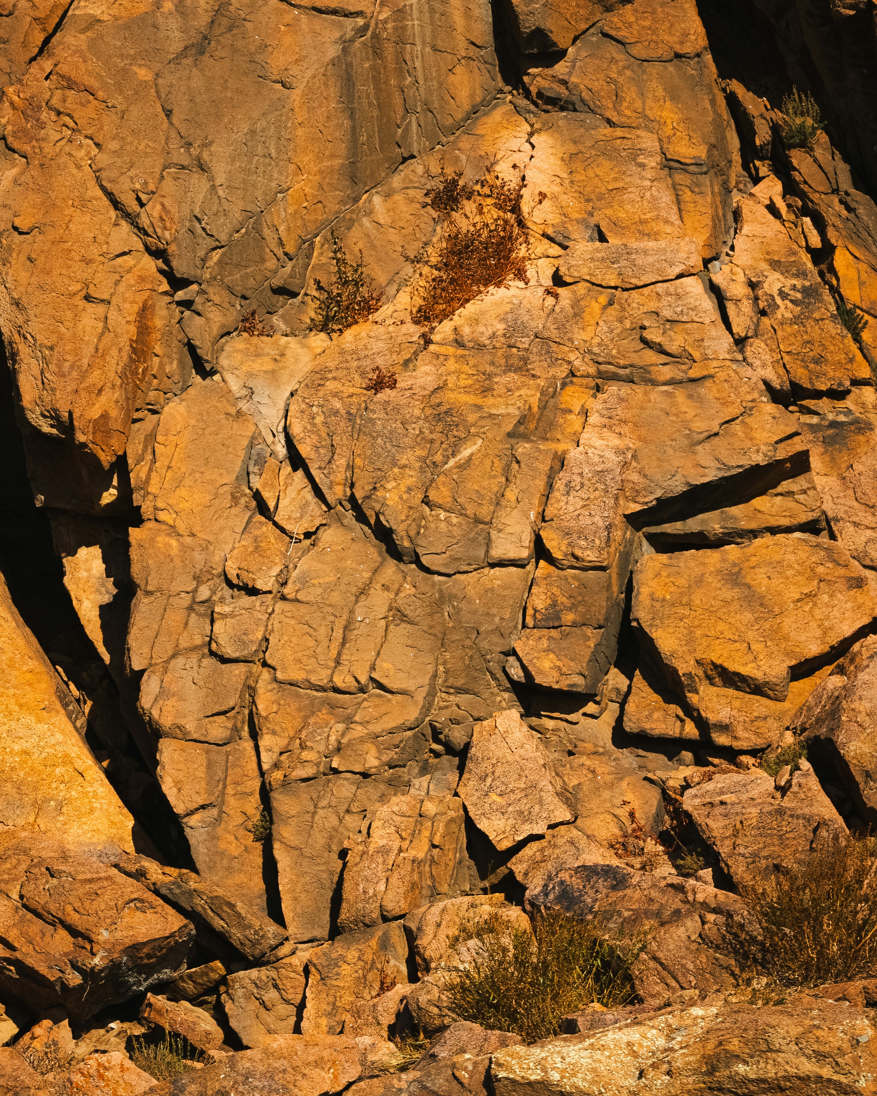 Photo by fabhimantra