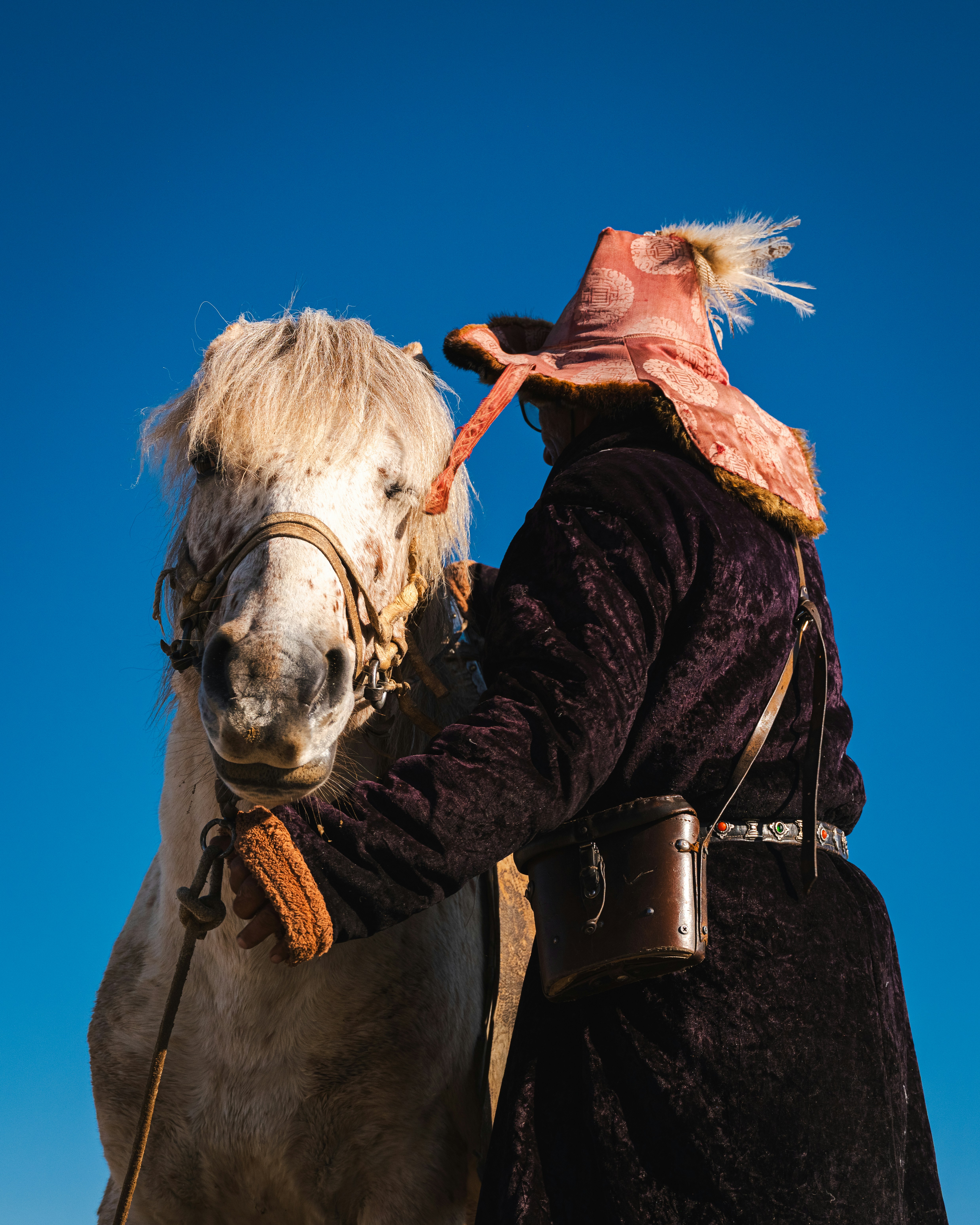 A mongolian horseman adjusts his horse's bridle.