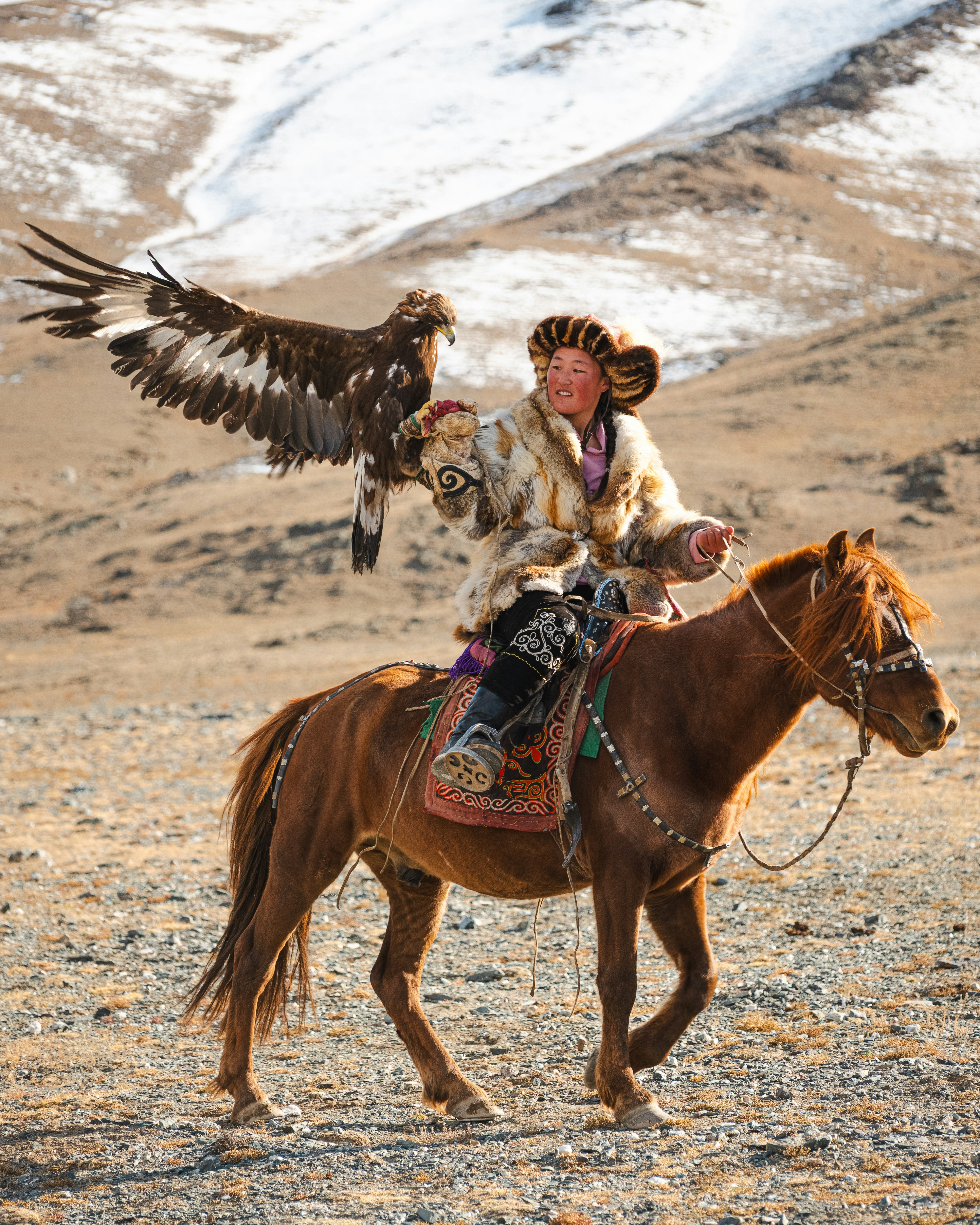 A mongolian eagle hunter on horseback.