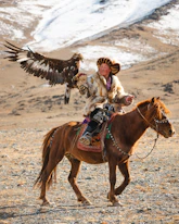 A mongolian eagle hunter on horseback.