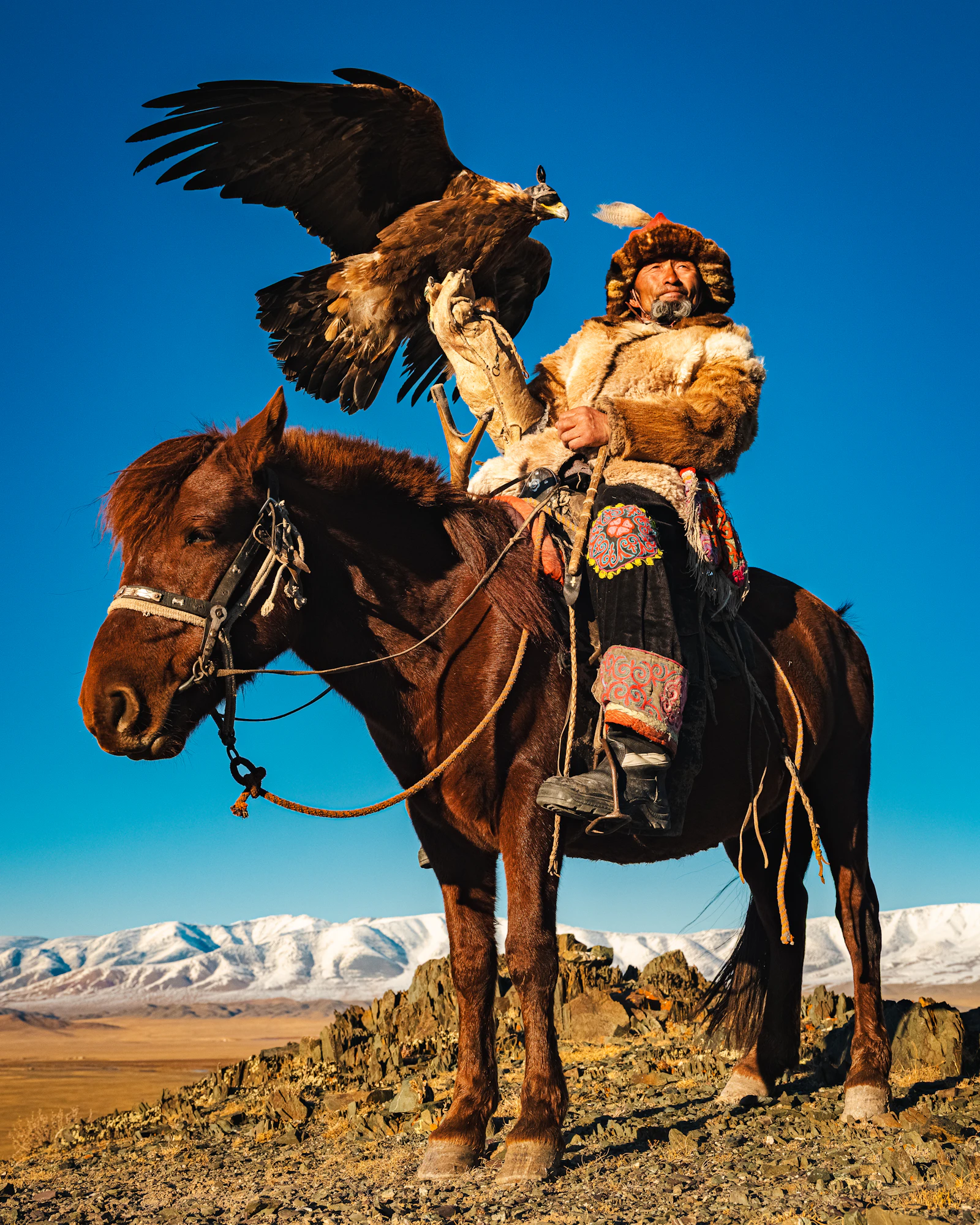Eagle hunter riding across the Mongolian steppe