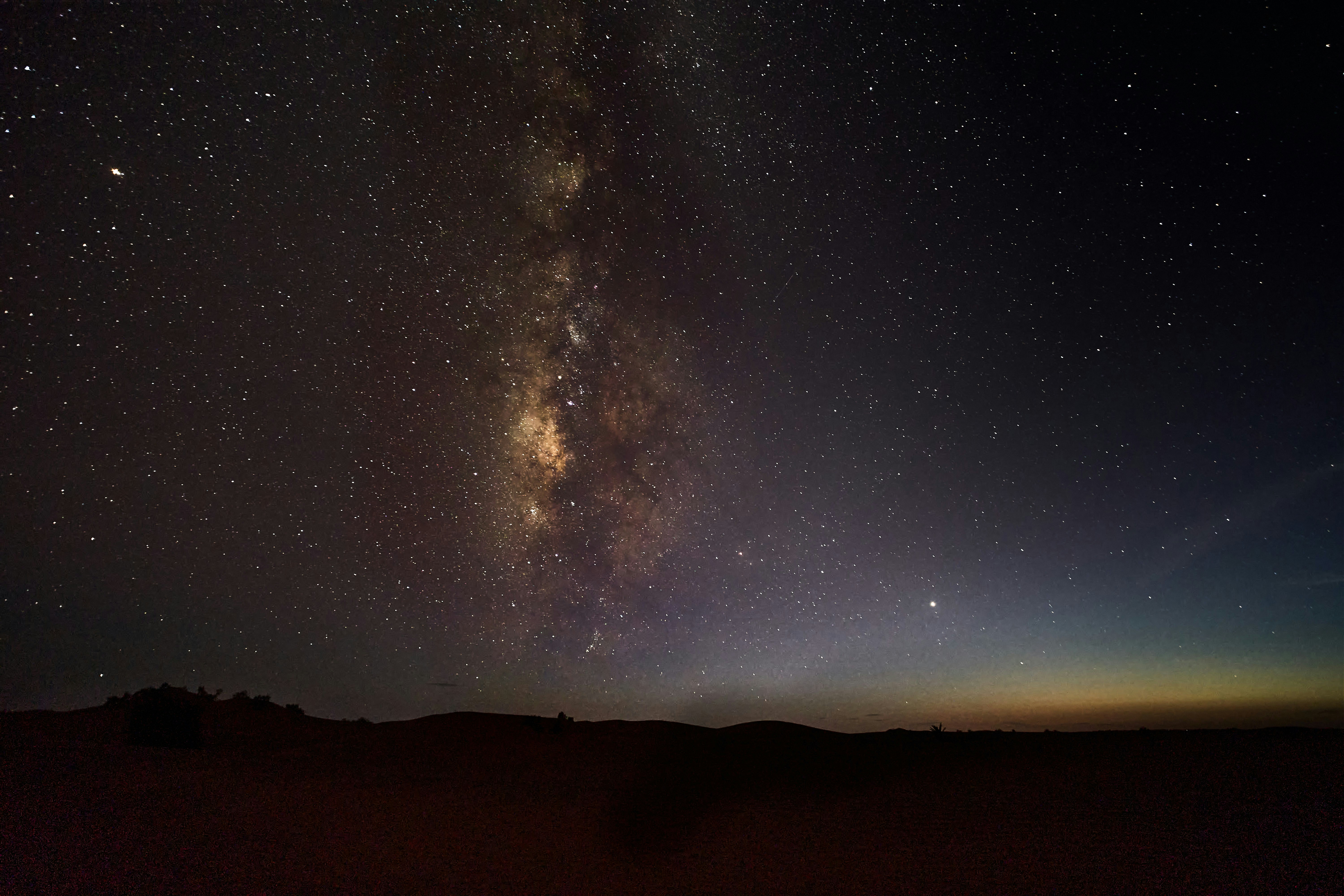 Photo by wolfgang_hasselmann