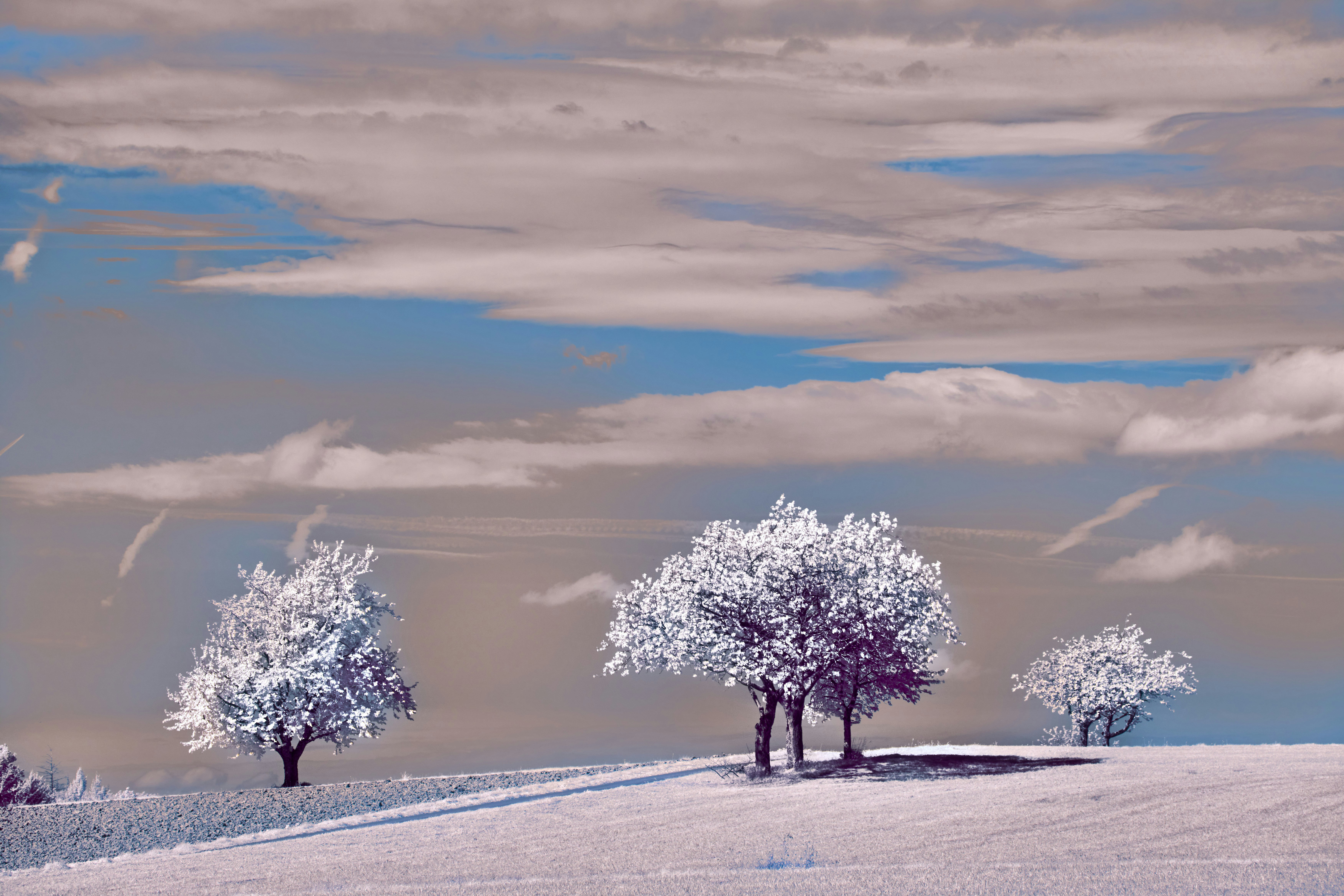 Photo by wolfgang_hasselmann