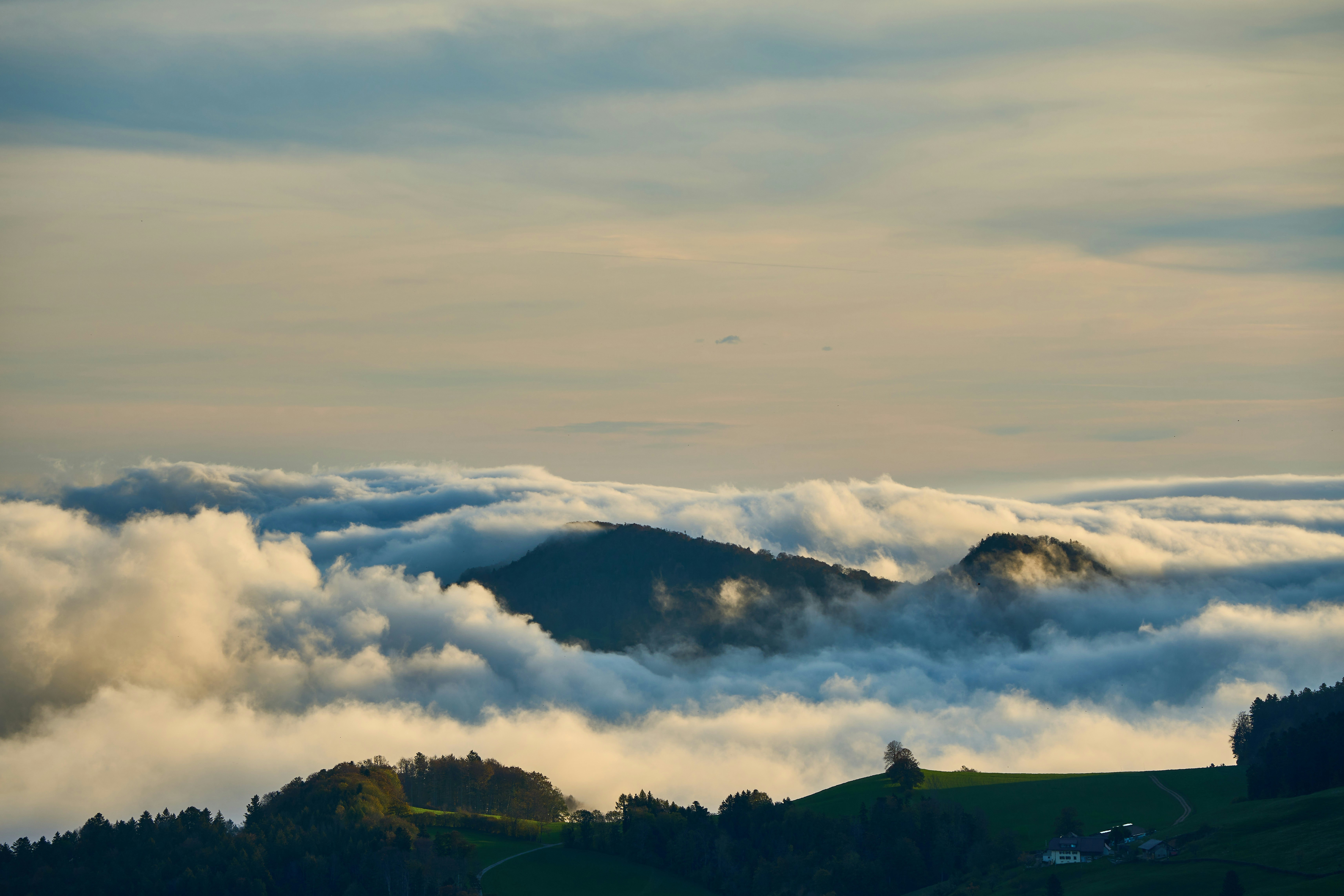 Photo by wolfgang_hasselmann