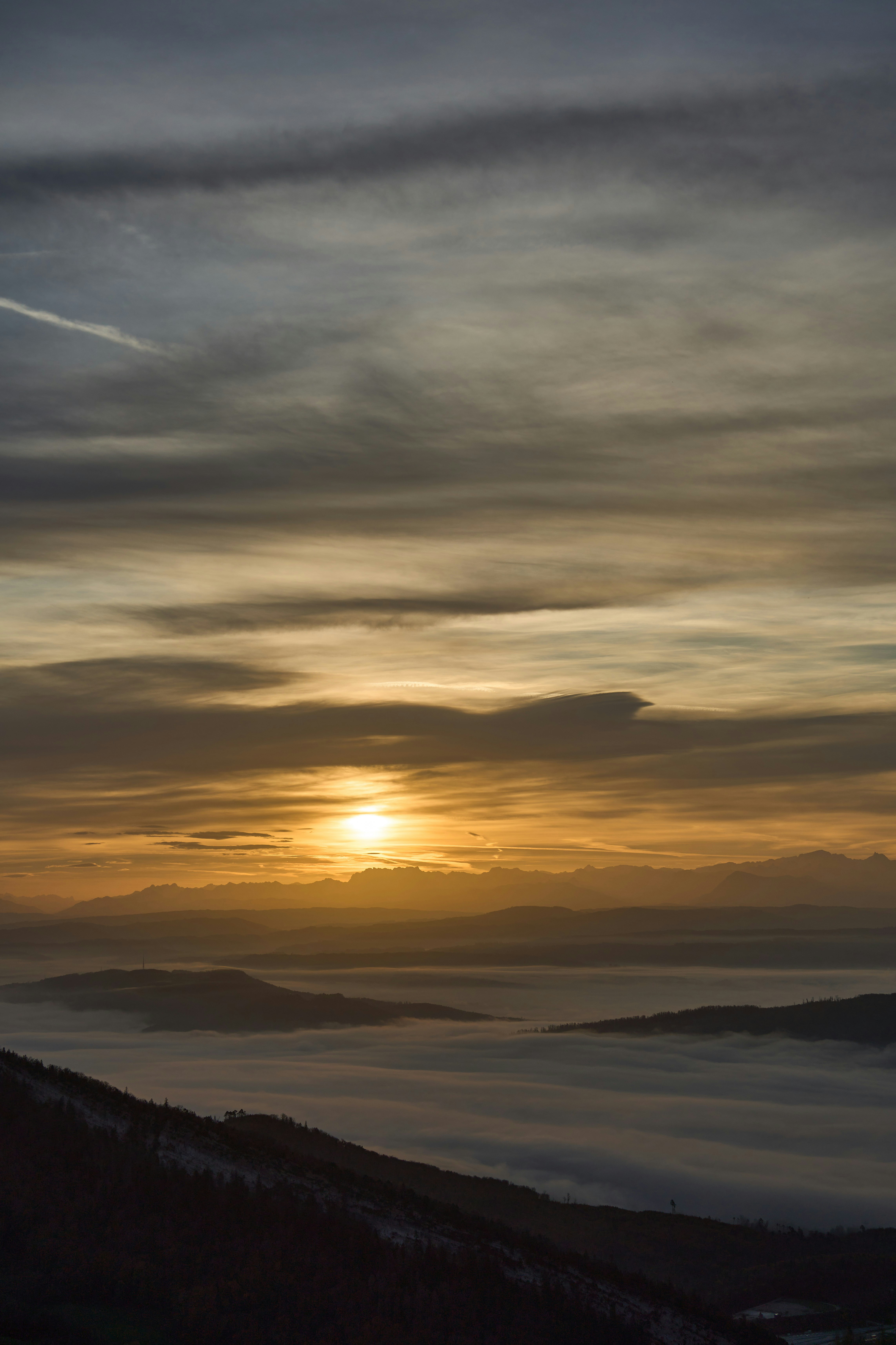 Photo by wolfgang_hasselmann