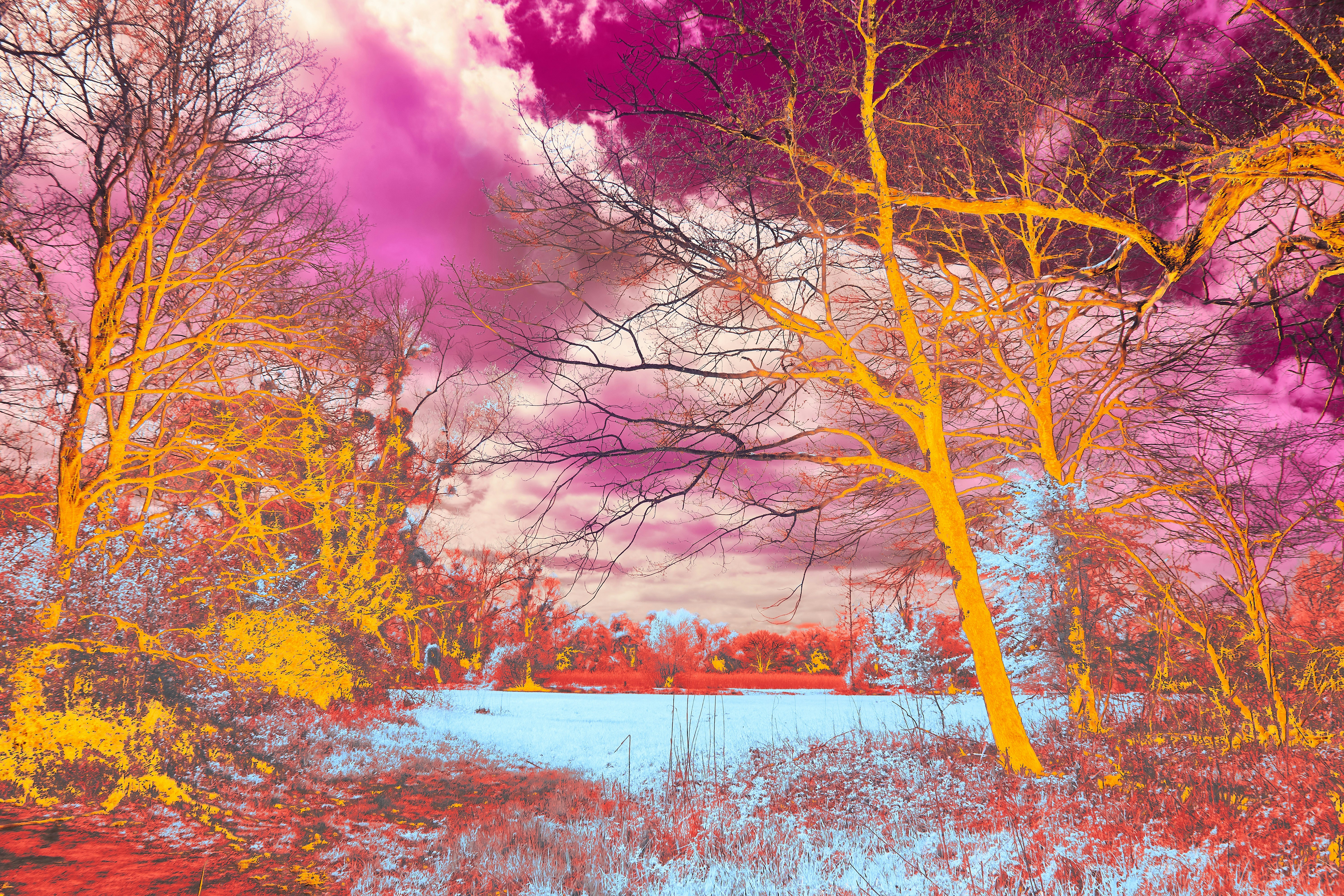 Photo by wolfgang_hasselmann