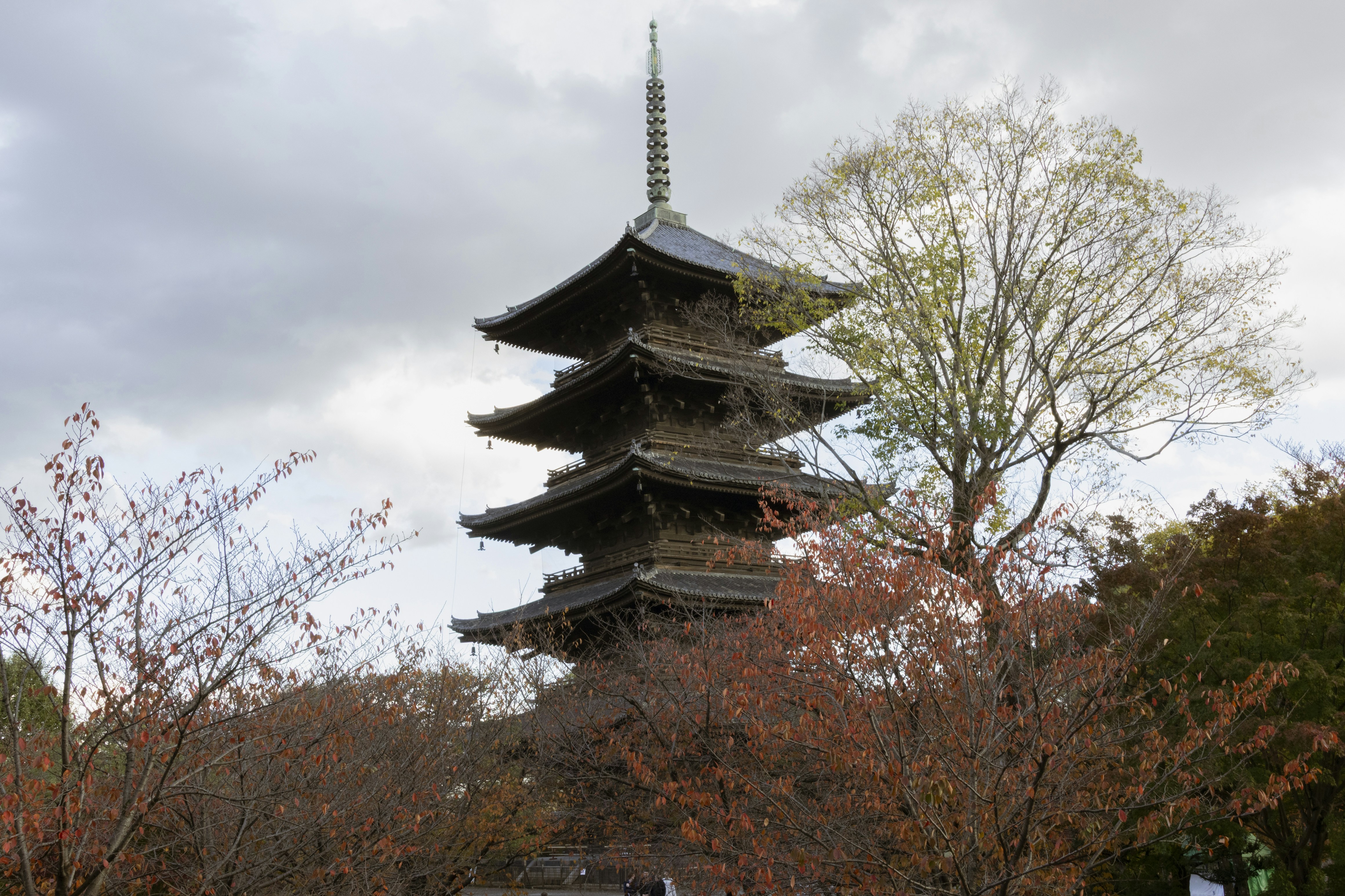 Photo by charlie1224