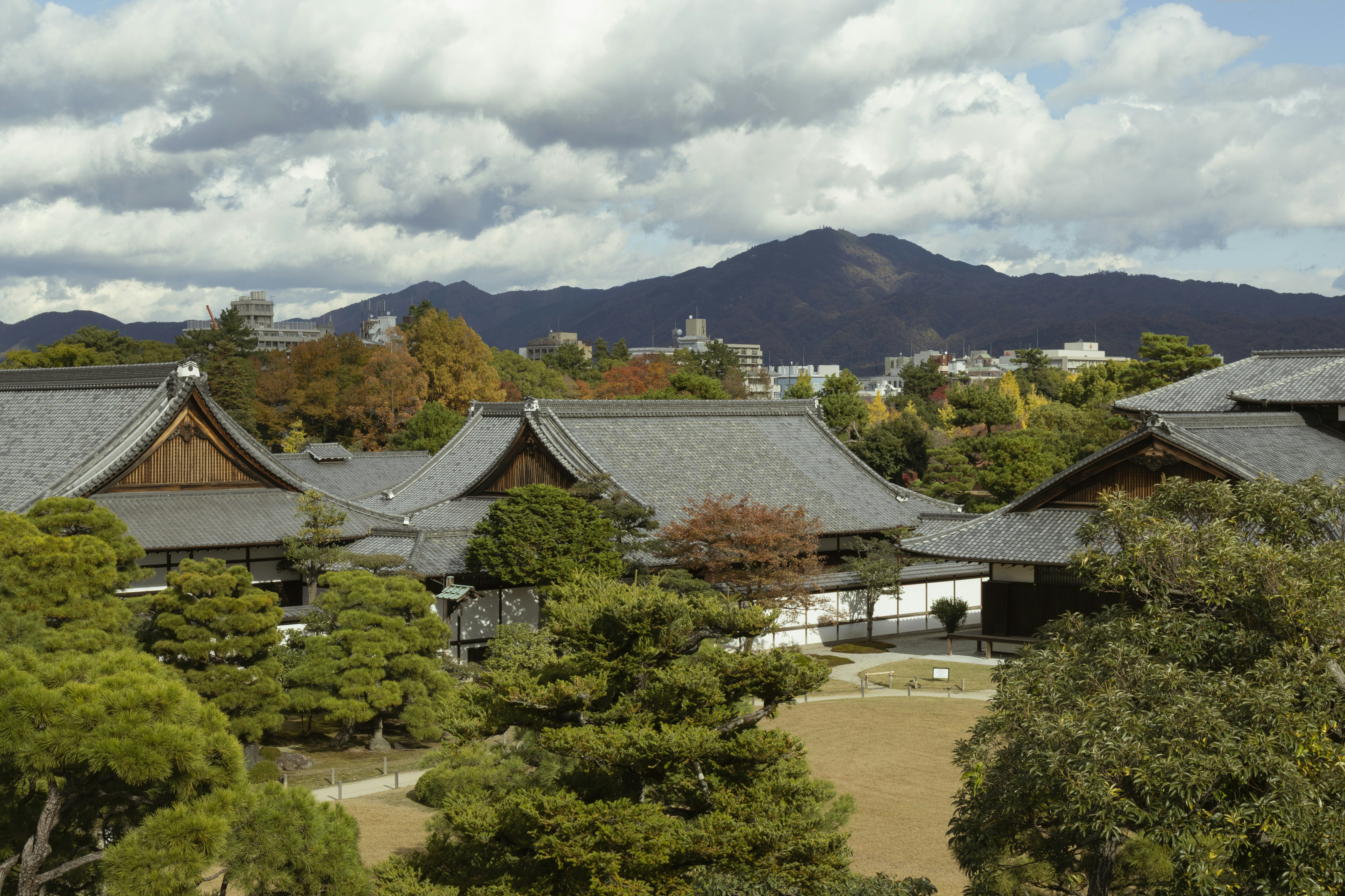 Traditional buildings framed by lush green trees.