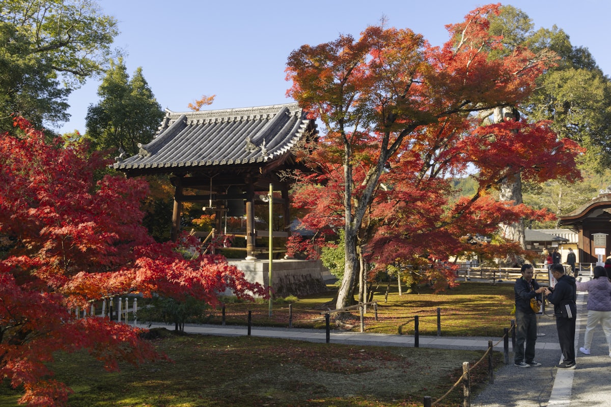 A traditional Japanese temple with curved dark roof tiles stands among vibrant red and orange autumn maple trees, with a few visitors walking on a path in the peaceful garden setting.. Photo by Charlie Charoenwattana on Unsplash.
