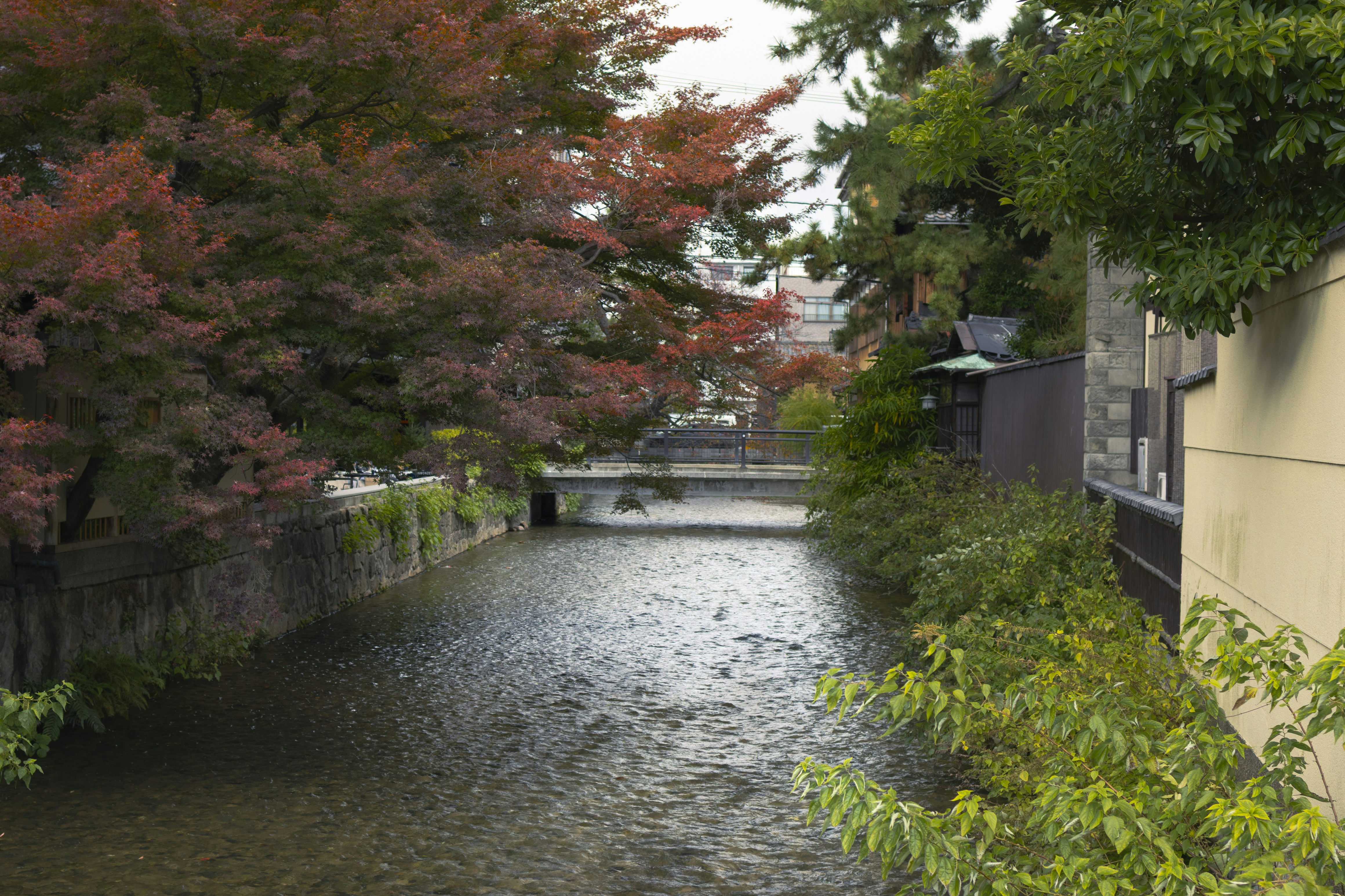 Photo by charlie1224