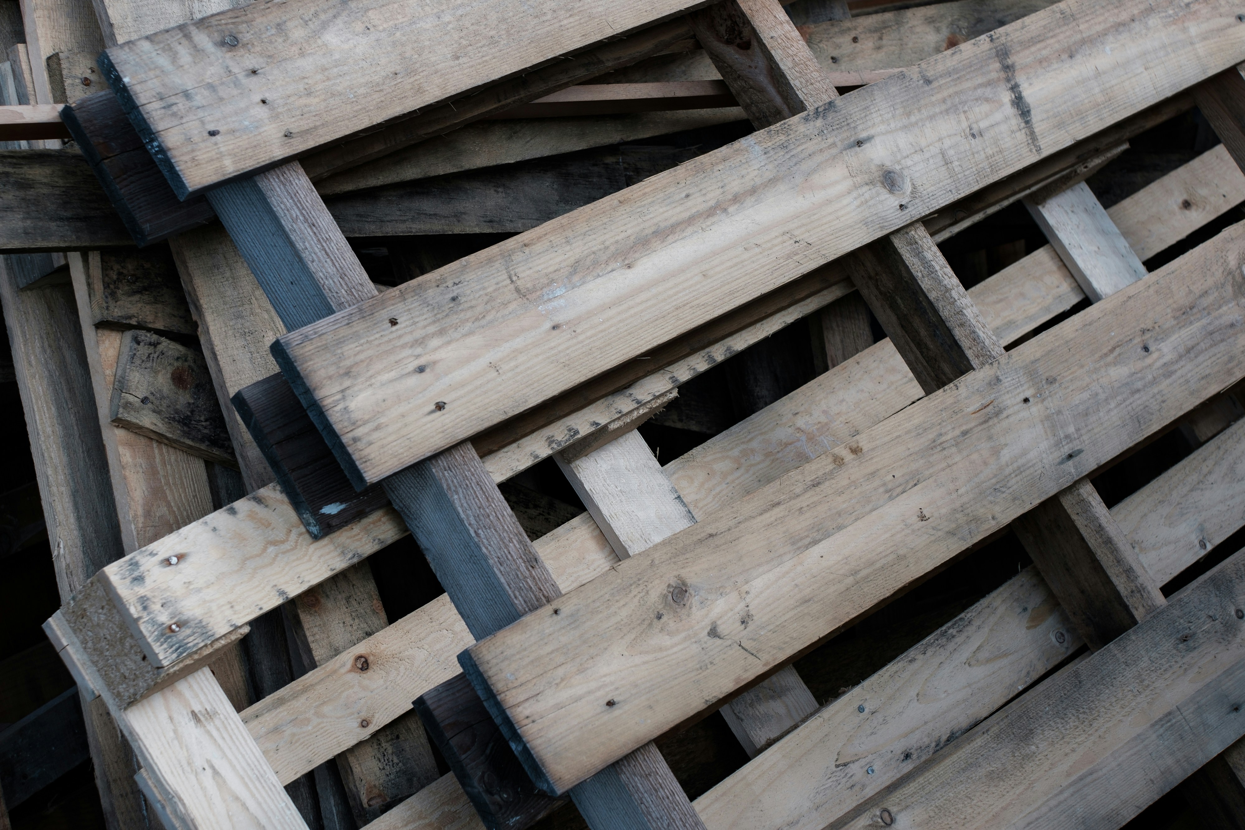 Photo by markuswinkler