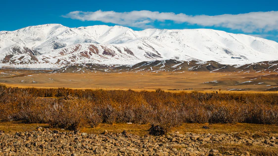 Snow-capped mountains rise above a golden landscape.