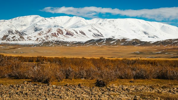 Snow-capped mountains rise above a golden landscape — Terelj, Mongolia