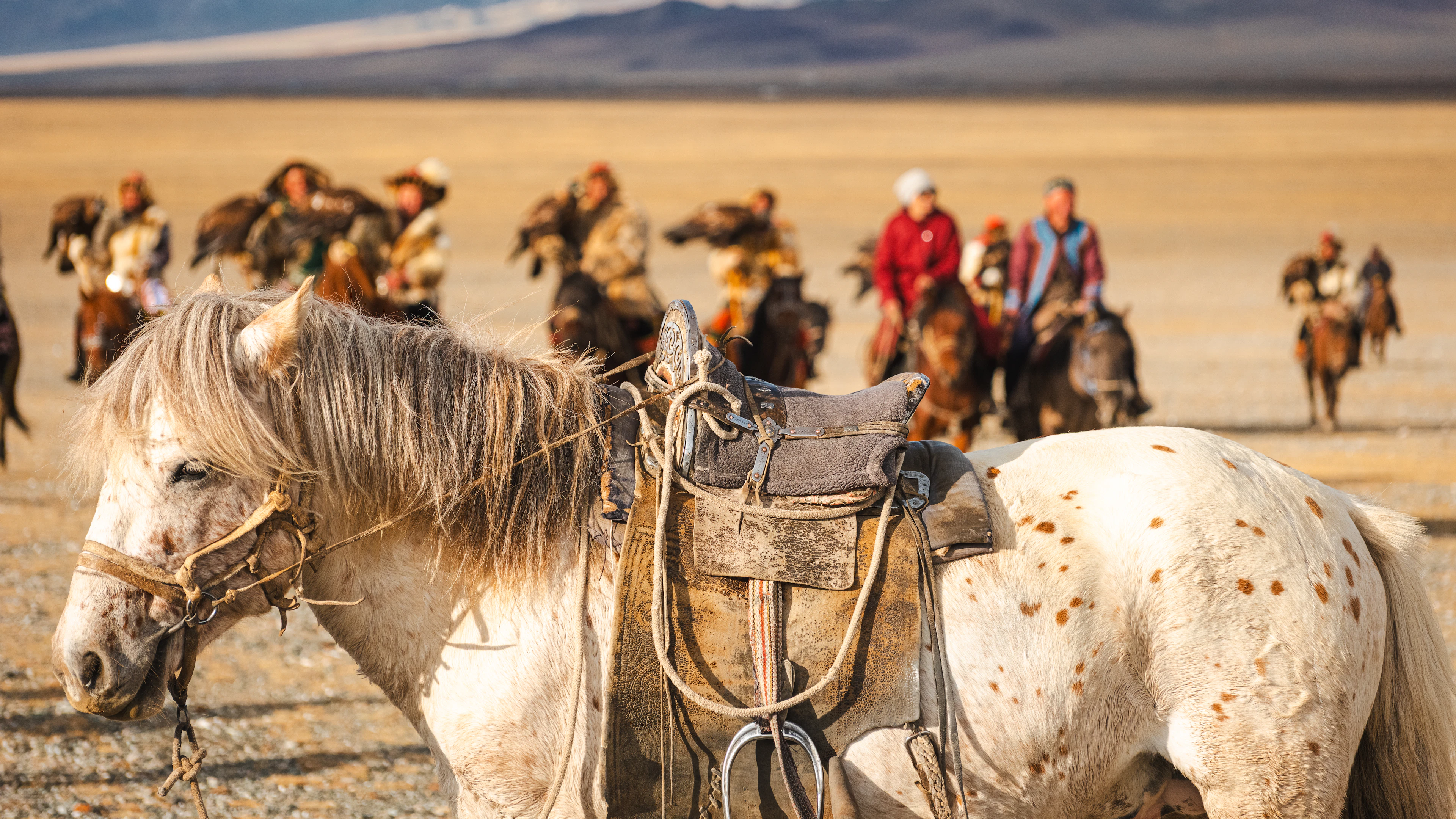 Saddled horses and riders gathered on the steppe