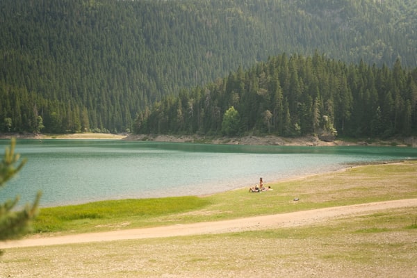 Peaceful lake surrounded by lush green trees reflecting calm water