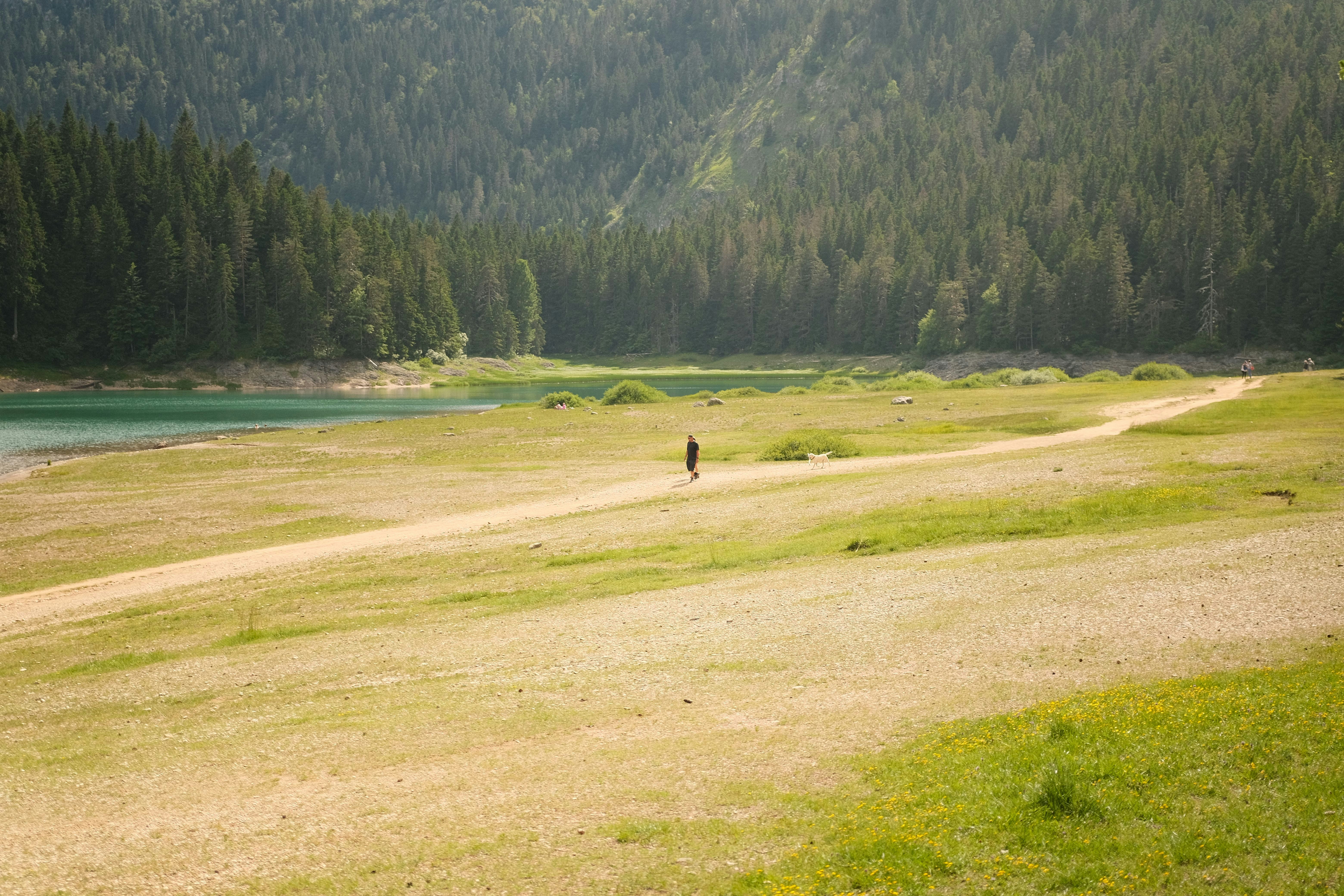 photo 1742209700858 0fb7712c7887?crop=entropy&cs=tinysrgb&fit=max&fm=jpg&ixid=M3w1MjQ0NjR8MHwxfHNlYXJjaHwxNHx8U2VyZW5pdHklMjBGb3Jlc3R8ZW58MHwwfHx8MTc0Mjc3MjE4NXww&ixlib=rb 4.0