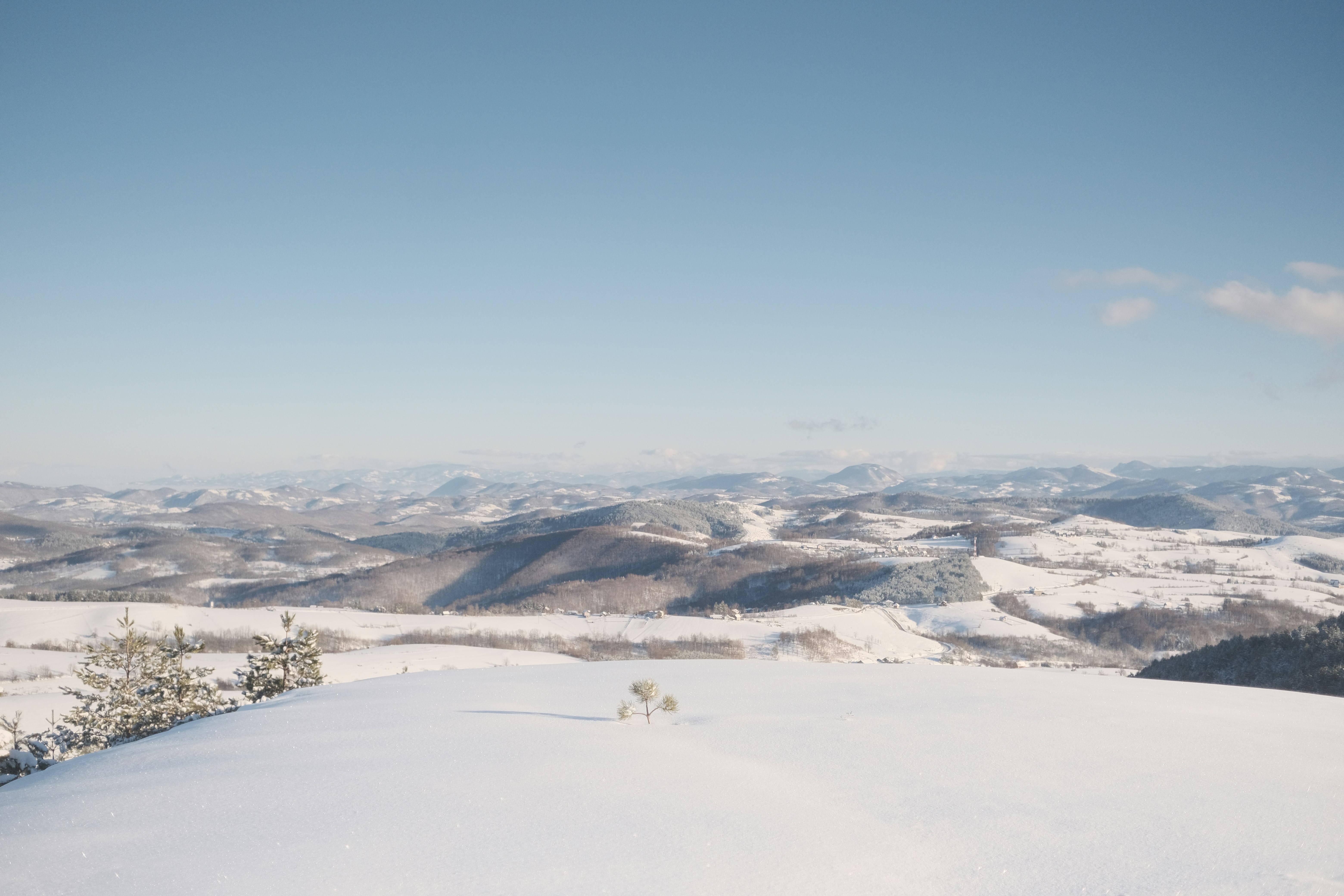 Photo by antonshutnik