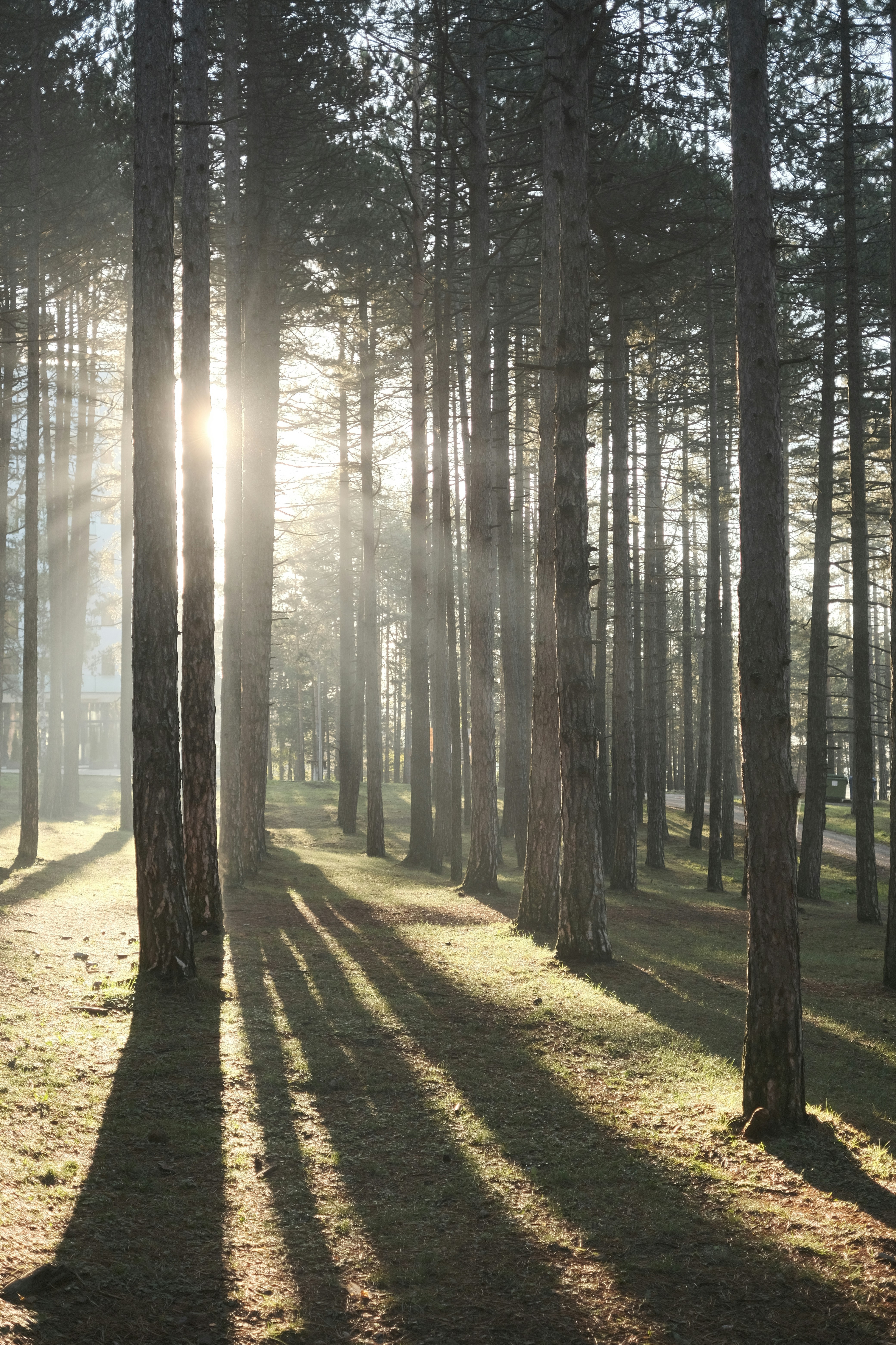 Photo by antonshutnik