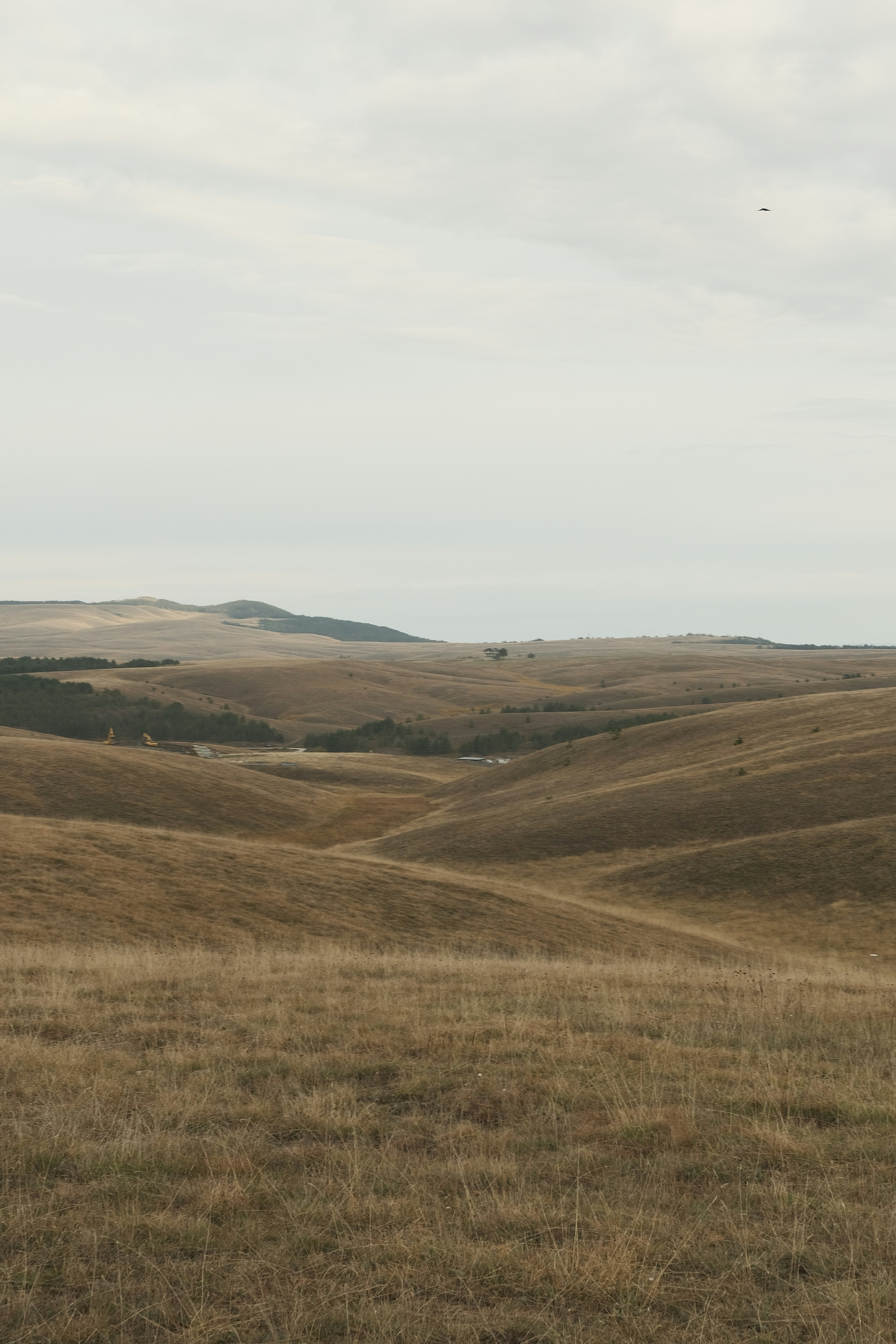 Photo by antonshutnik