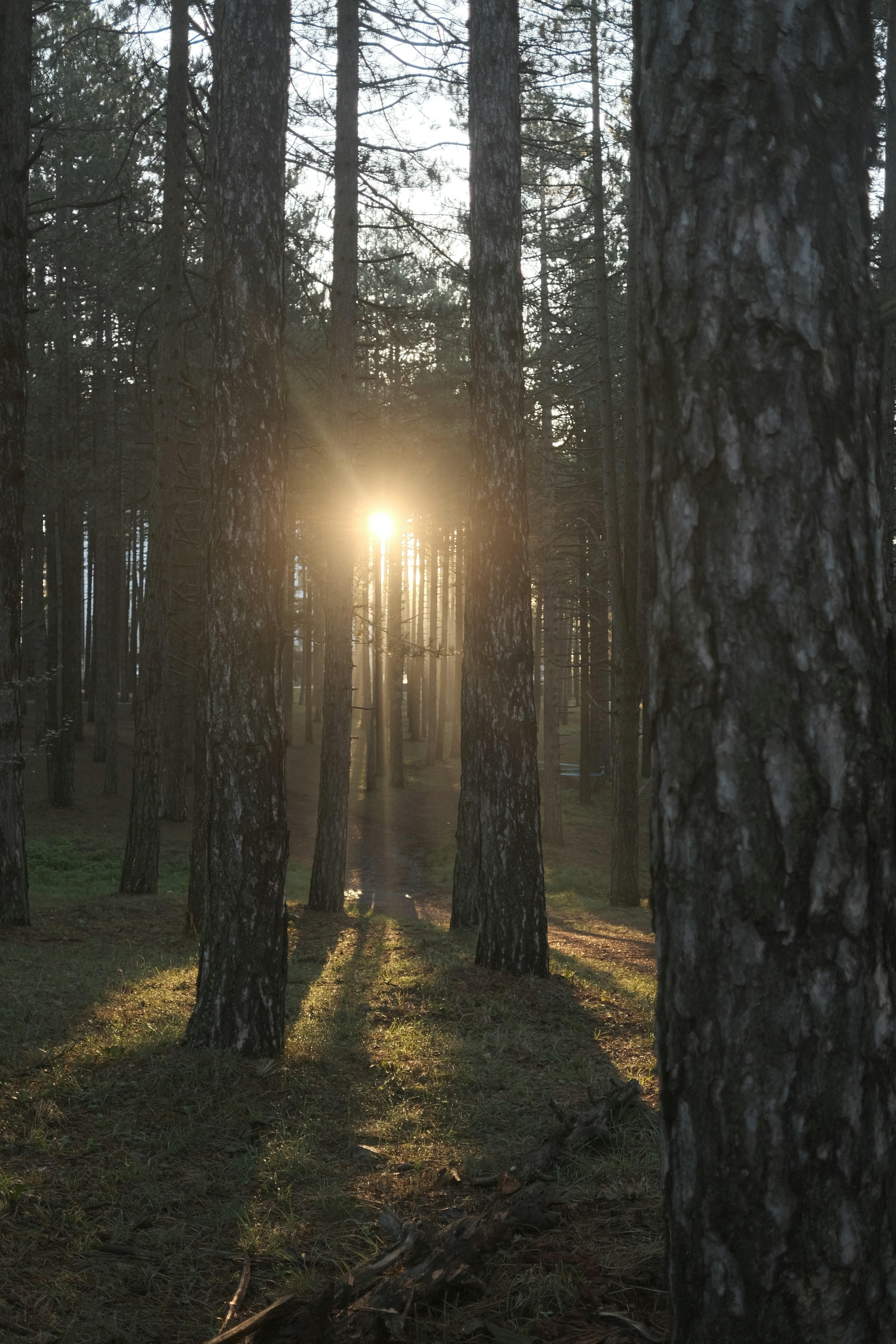 Photo by antonshutnik