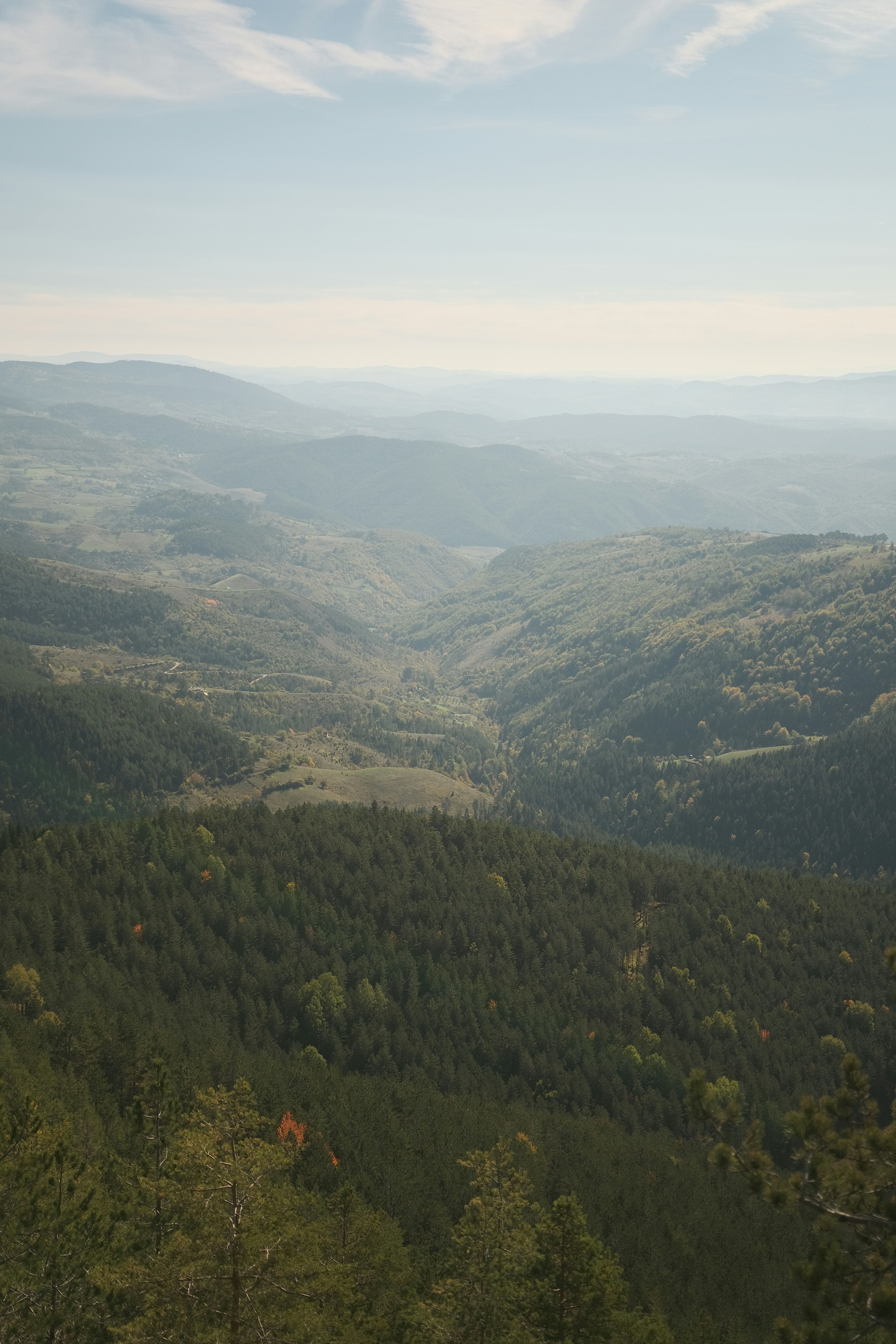 Photo by antonshutnik