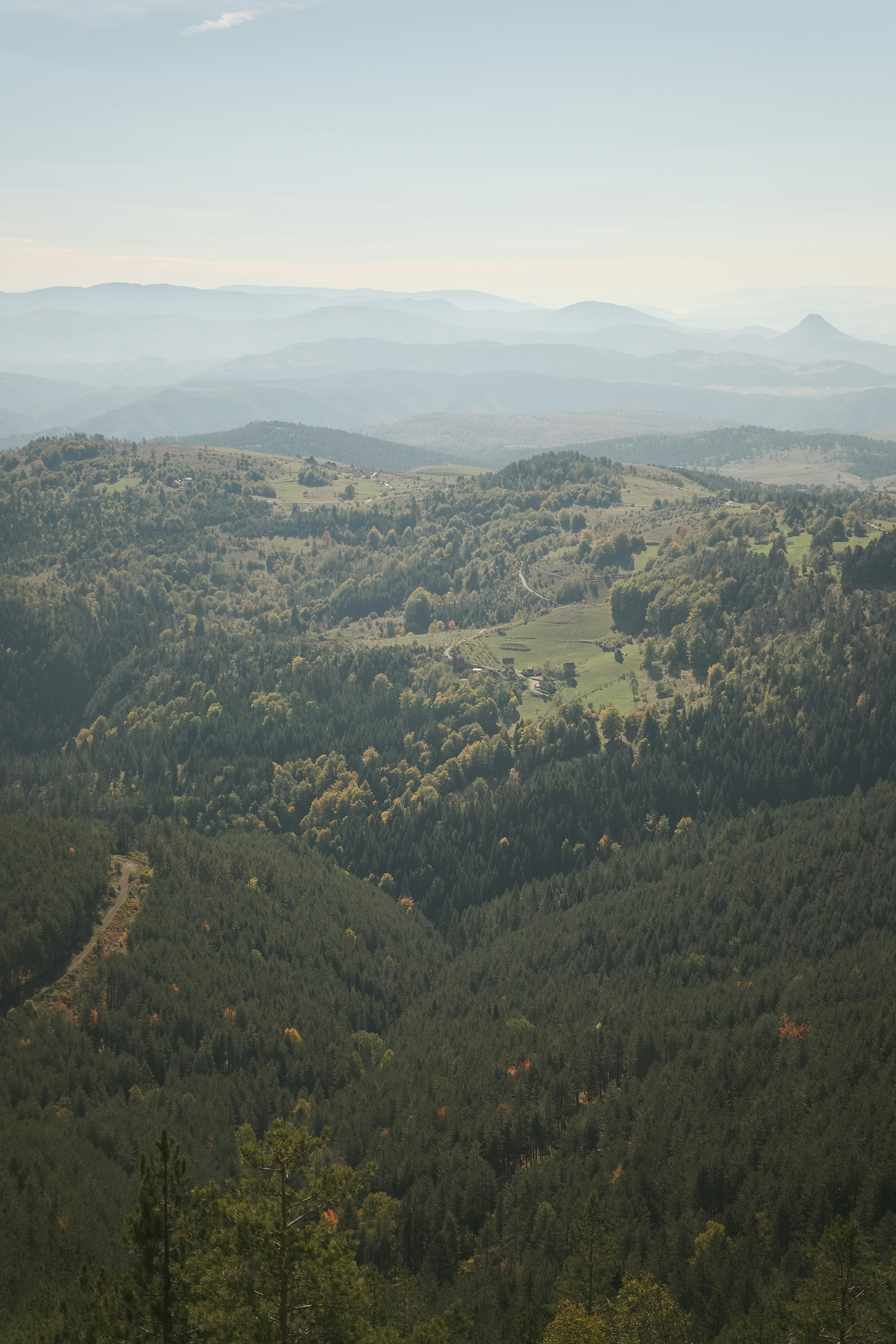 Photo by antonshutnik